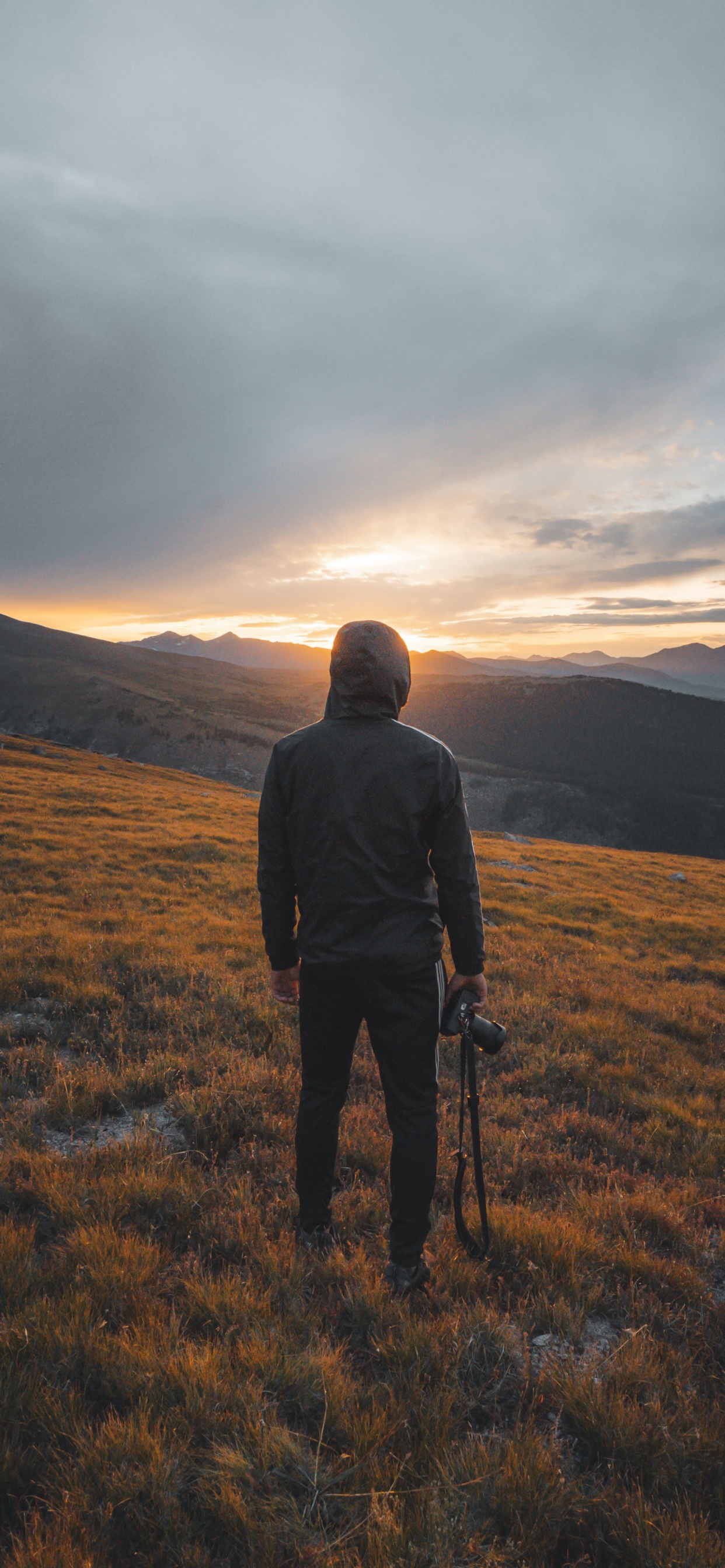 Обои облако, нагорье, холм, сенокосное угодье, горизонт в разрешении 1242x2688