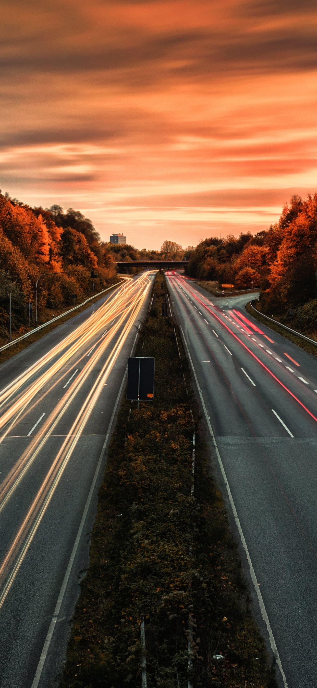 Обои дорога, магистраль, природа, переулок, проезд в разрешении 1242x2688