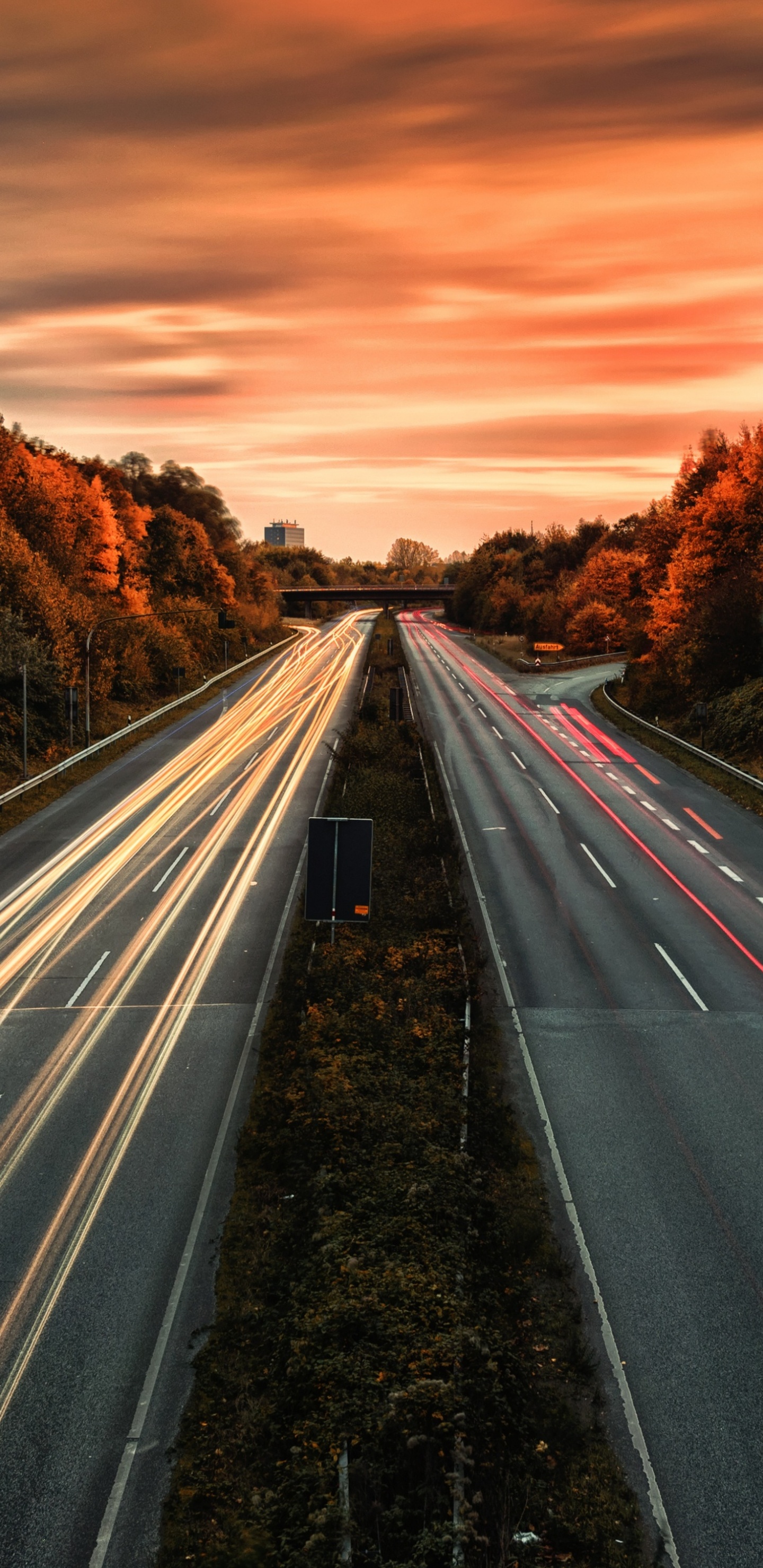 Обои дорога, магистраль, природа, переулок, проезд в разрешении 1440x2960