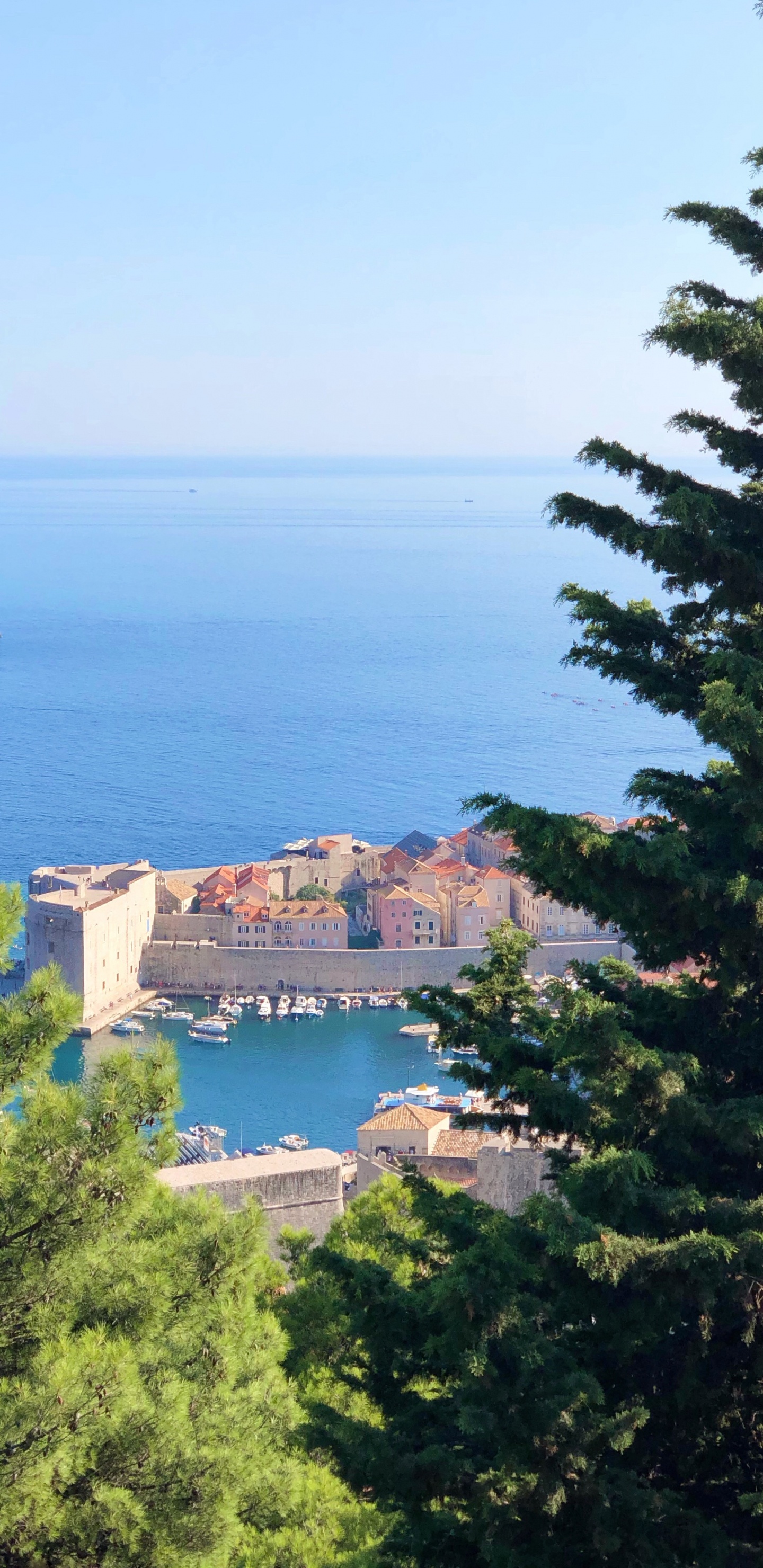 Обои побережье, пейзажи гор, водоем, лазурный, вечнозеленое растение в разрешении 1440x2960