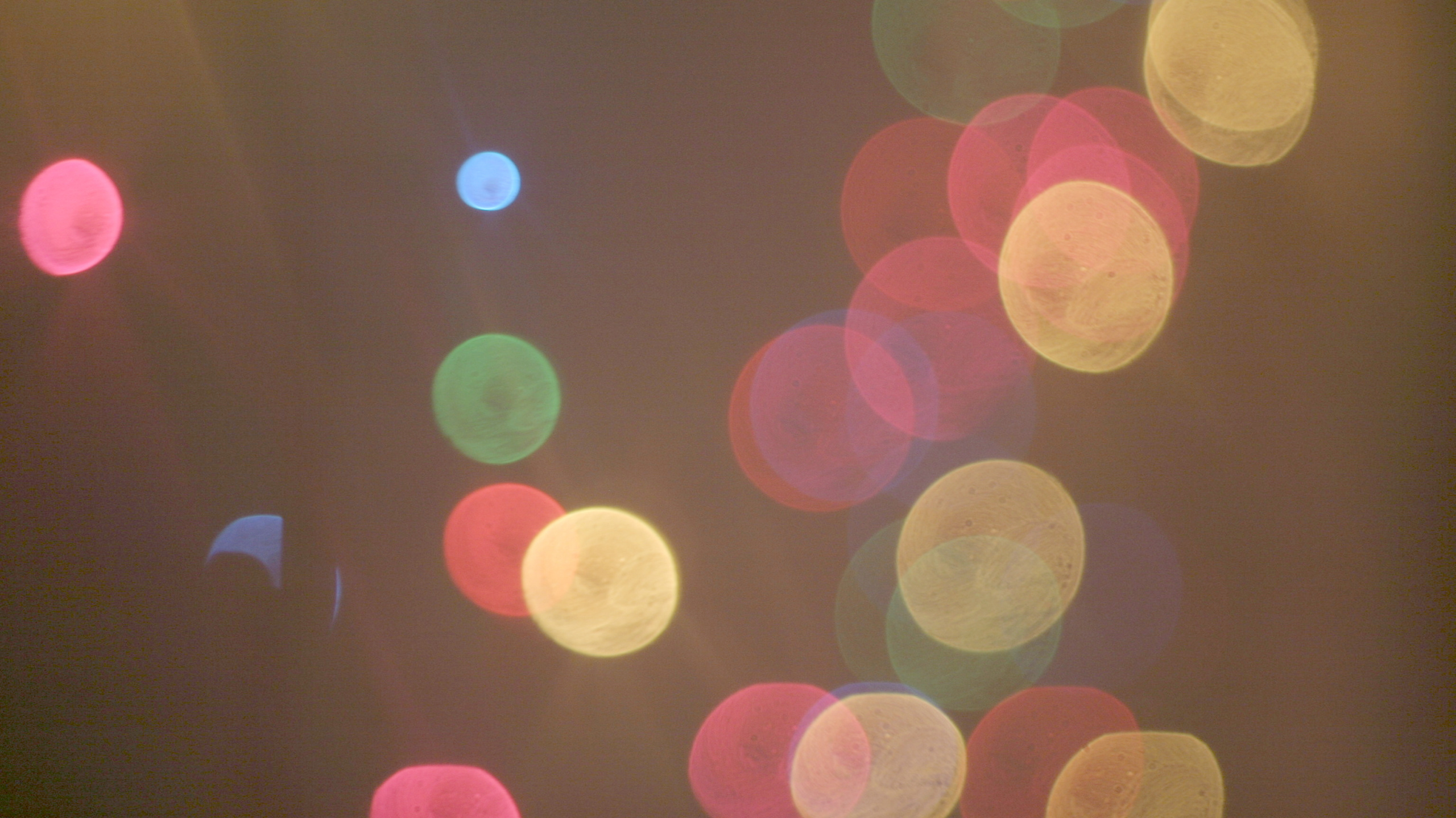 Обои боке, текстура, розовый, свет, круг в разрешении 2560x1440