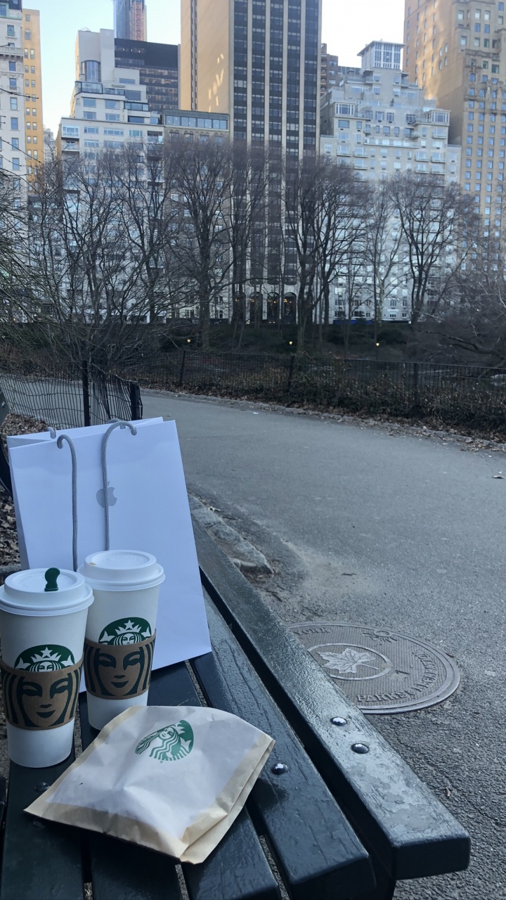 Обои Центральный парк, вода, башня, здание, городской район в разрешении 720x1280