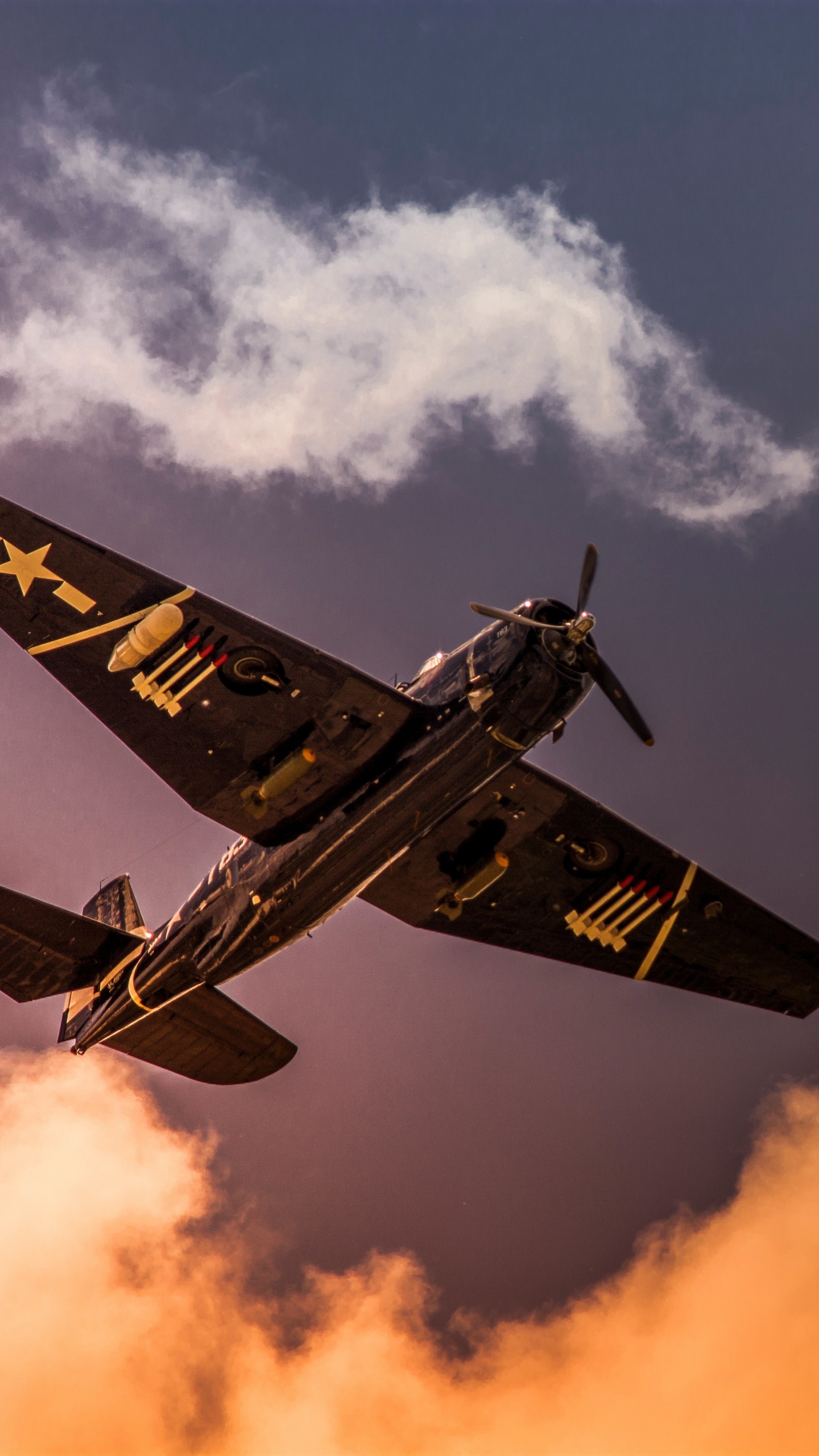 Обои самолет, самолеты, полет, авиация, авиамодель в разрешении 1440x2560