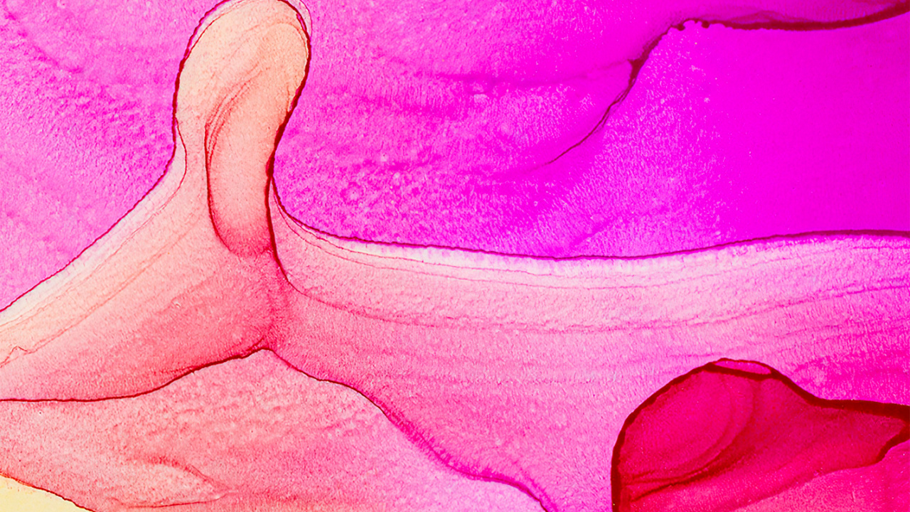 Обои живопись, визуальное искусство, рисование, лепесток, жест в разрешении 1280x720