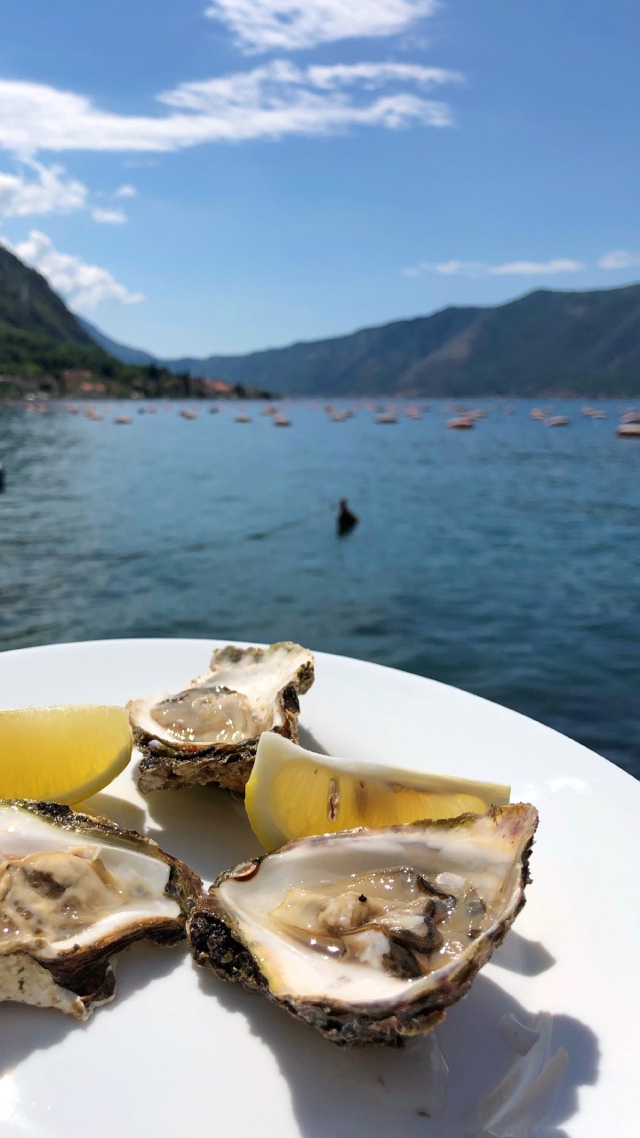 Обои устрица, морепродукты, вода, продукты животного происхождения, биология в разрешении 720x1280