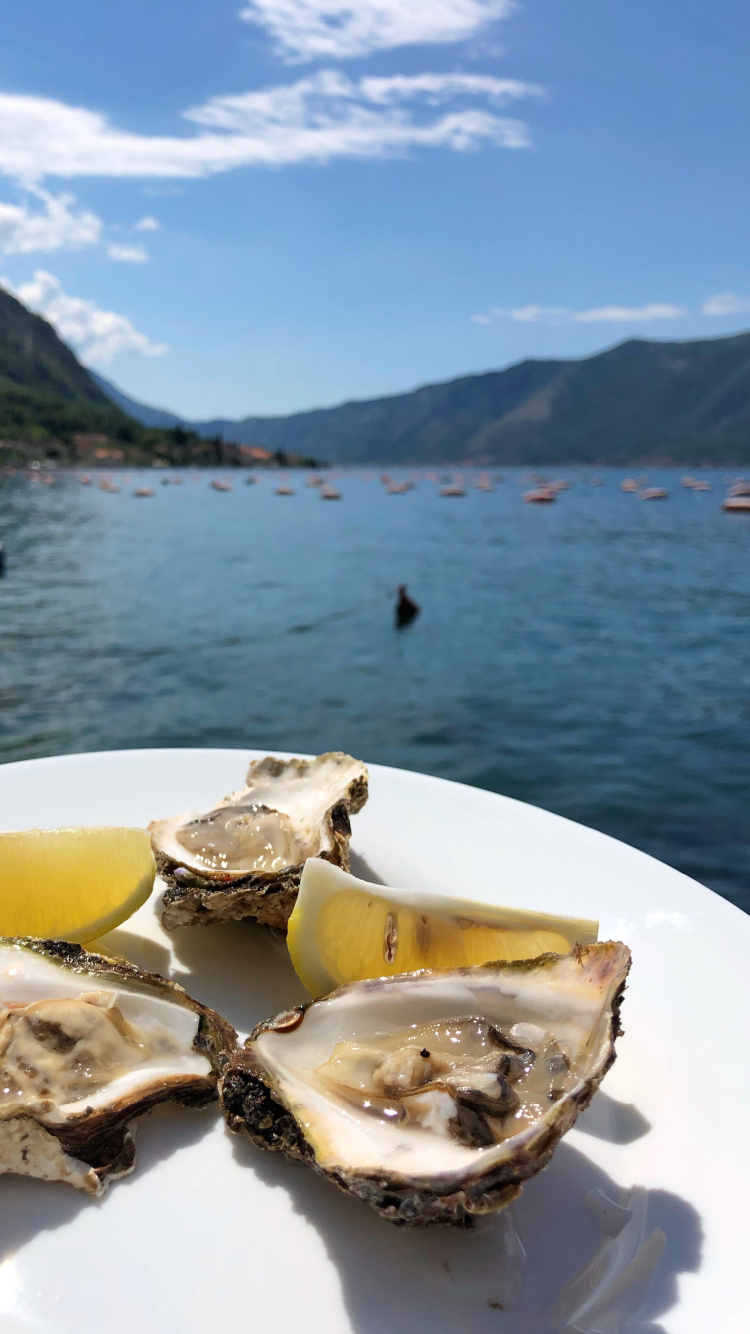 Обои устрица, морепродукты, вода, продукты животного происхождения, биология в разрешении 750x1334