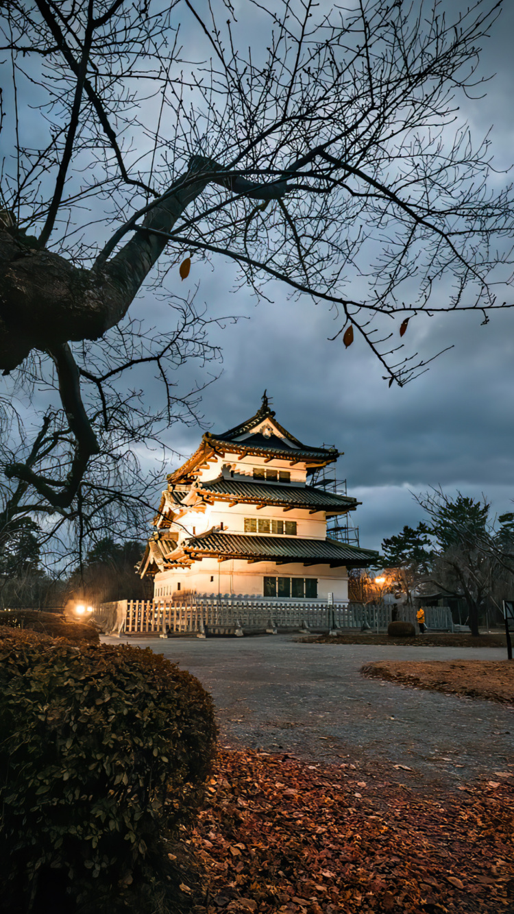 Обои биология, облако, растение, здание, природа в разрешении 750x1334