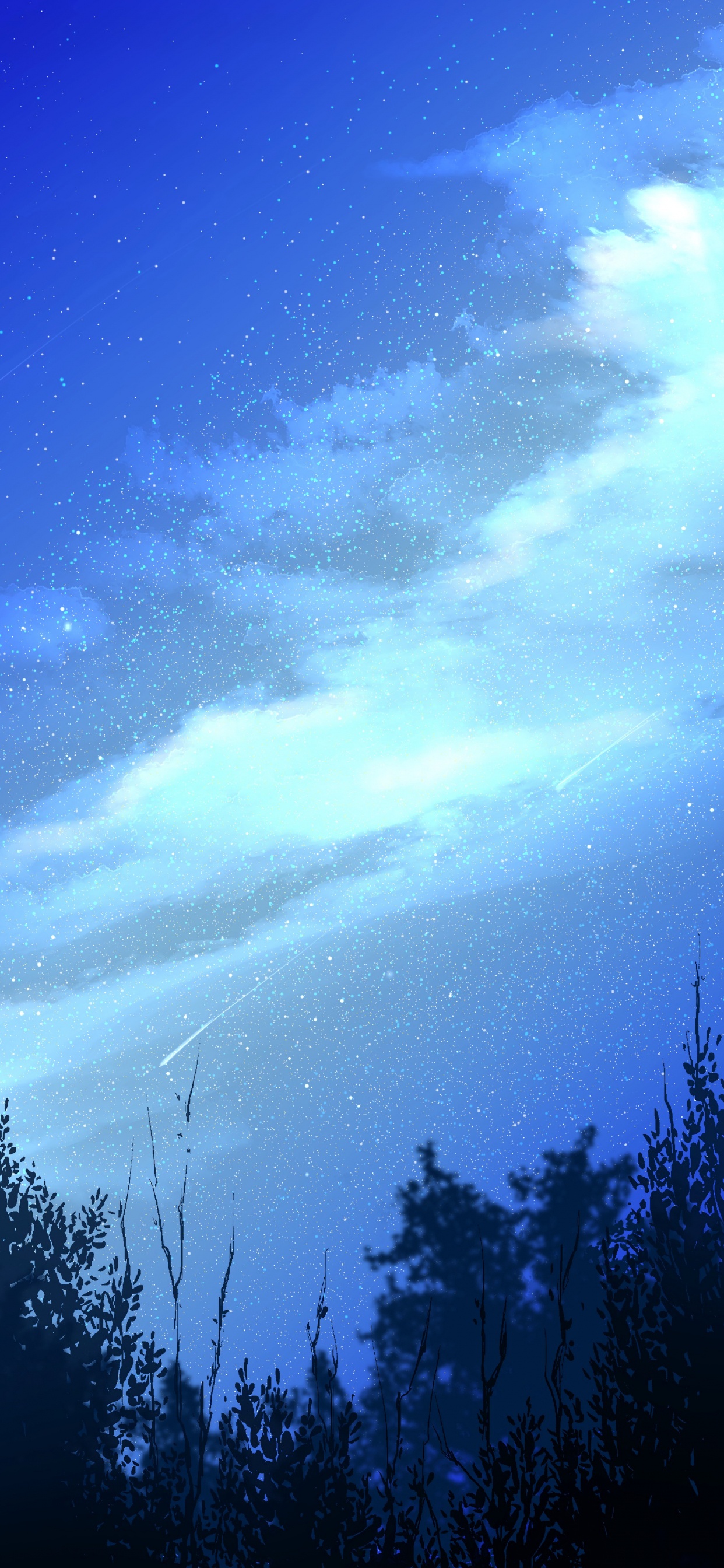 Обои ночь, природа, синий, атмосфера, свет в разрешении 1242x2688