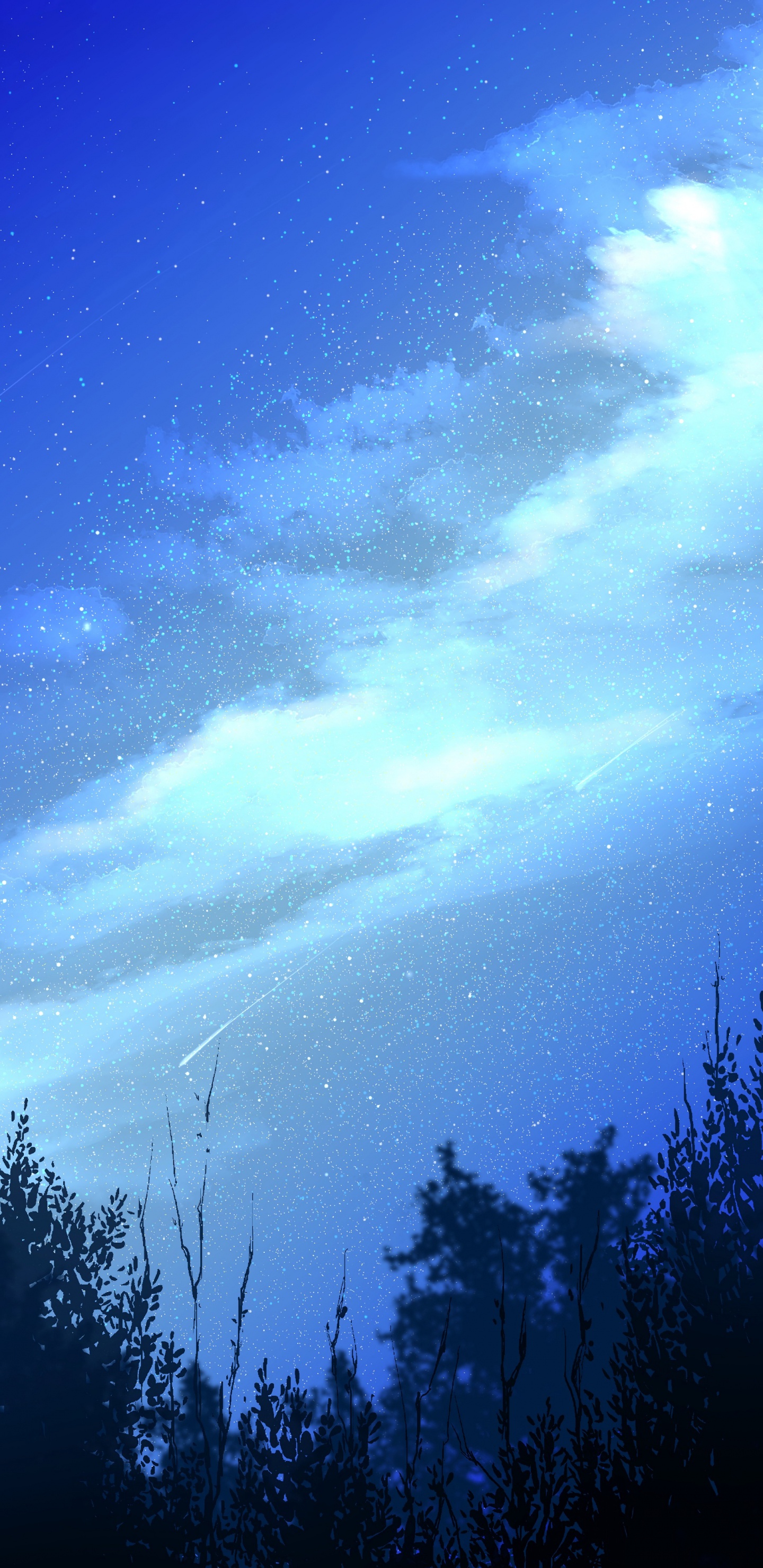 Обои ночь, природа, синий, атмосфера, свет в разрешении 1440x2960