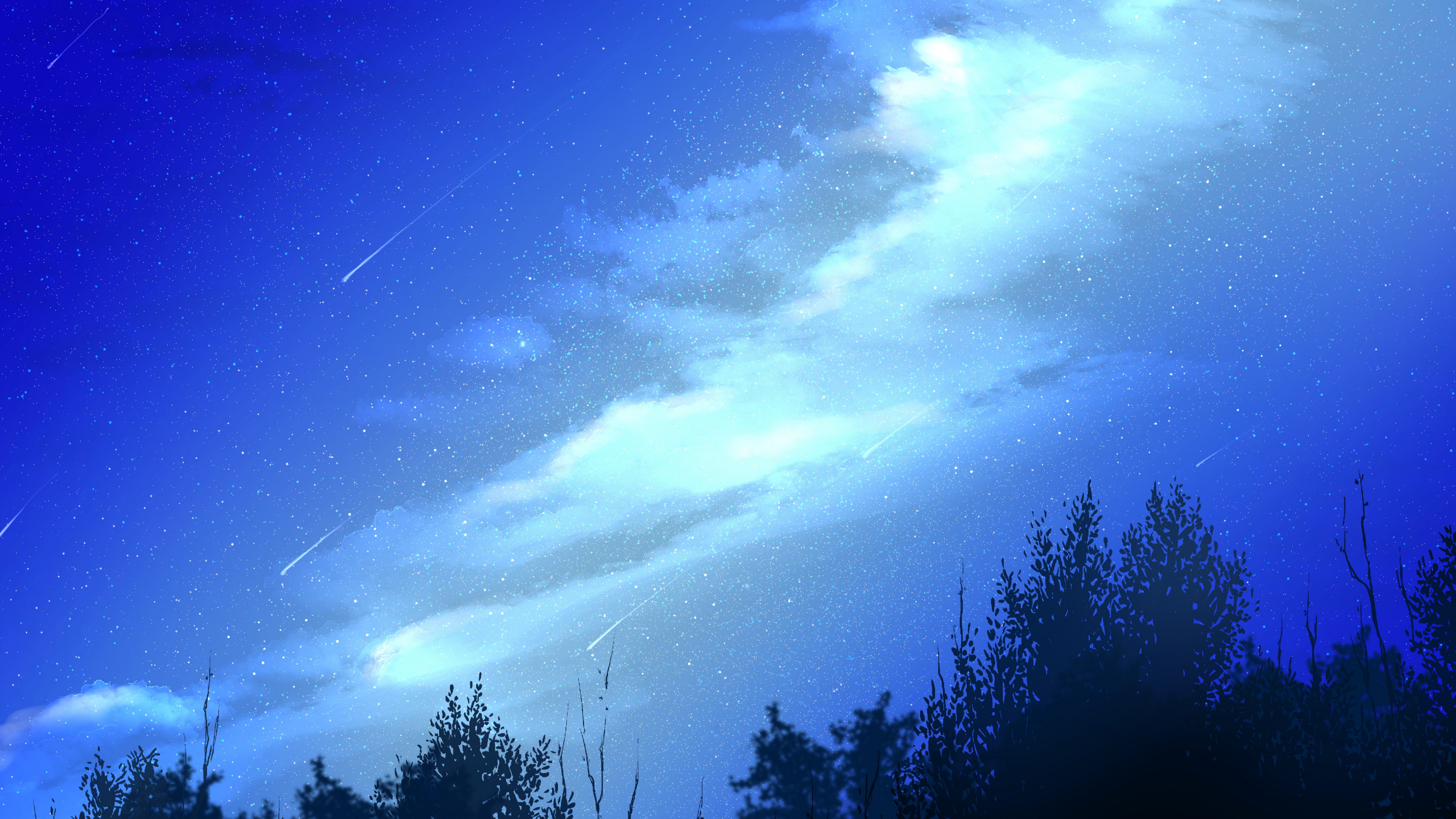 Обои ночь, природа, синий, атмосфера, свет в разрешении 2560x1440