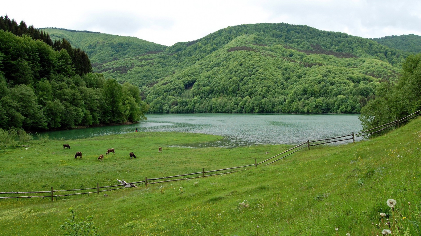 Обои нагорье, природа, природный заповедник, водохранилище, пастбища в разрешении 1366x768