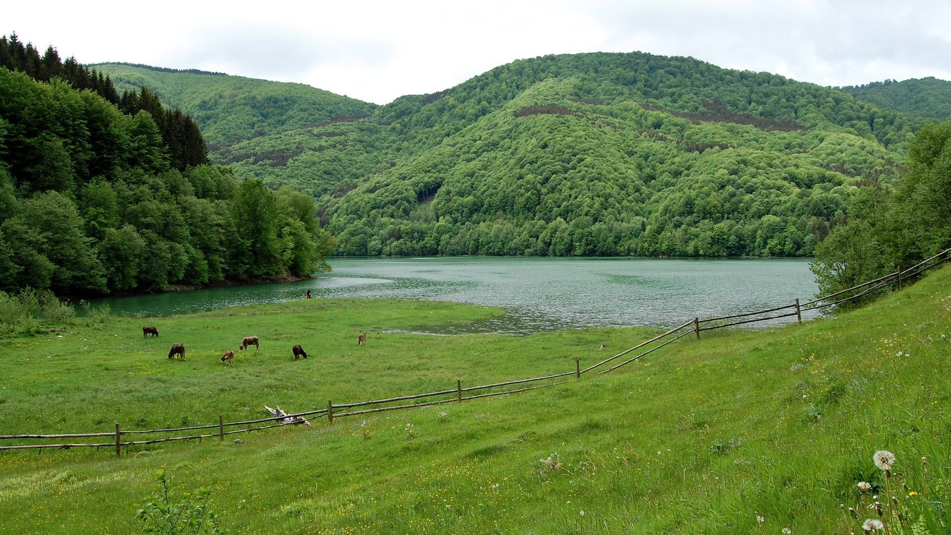 Обои нагорье, природа, природный заповедник, водохранилище, пастбища в разрешении 1920x1080