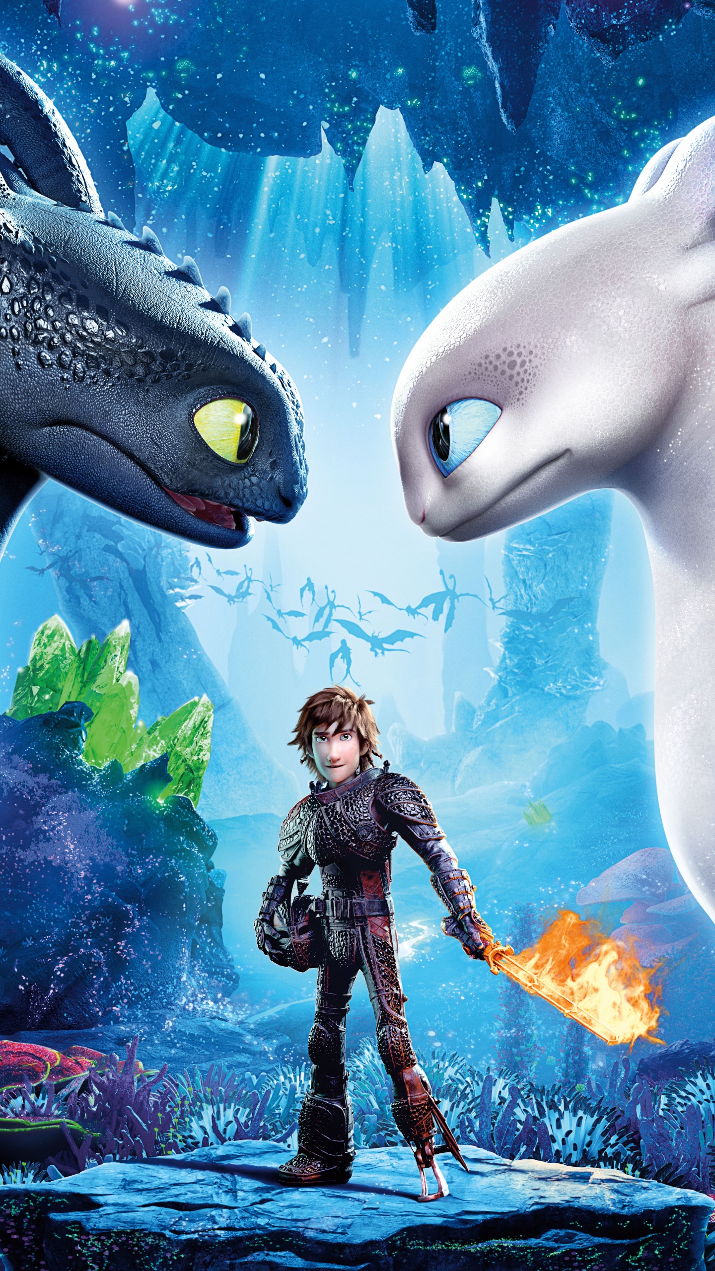 Обои Как тренировать своего дракона, дракон, арт, мультик, иллюстрация в разрешении 1440x2560