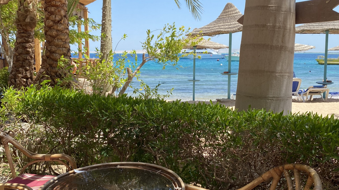 Обои прибежище, пальмовые рощи, недвижимость, мебель, морской курорт в разрешении 1366x768