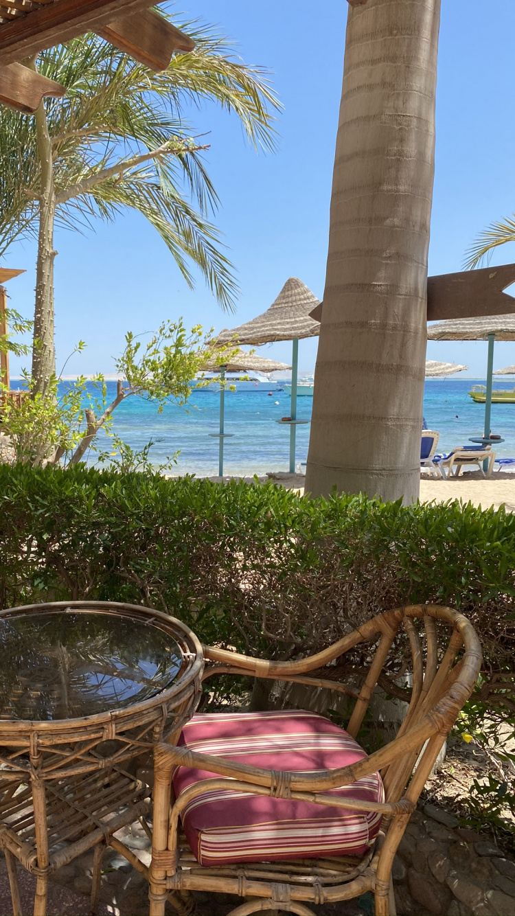 Обои прибежище, пальмовые рощи, недвижимость, мебель, морской курорт в разрешении 750x1334