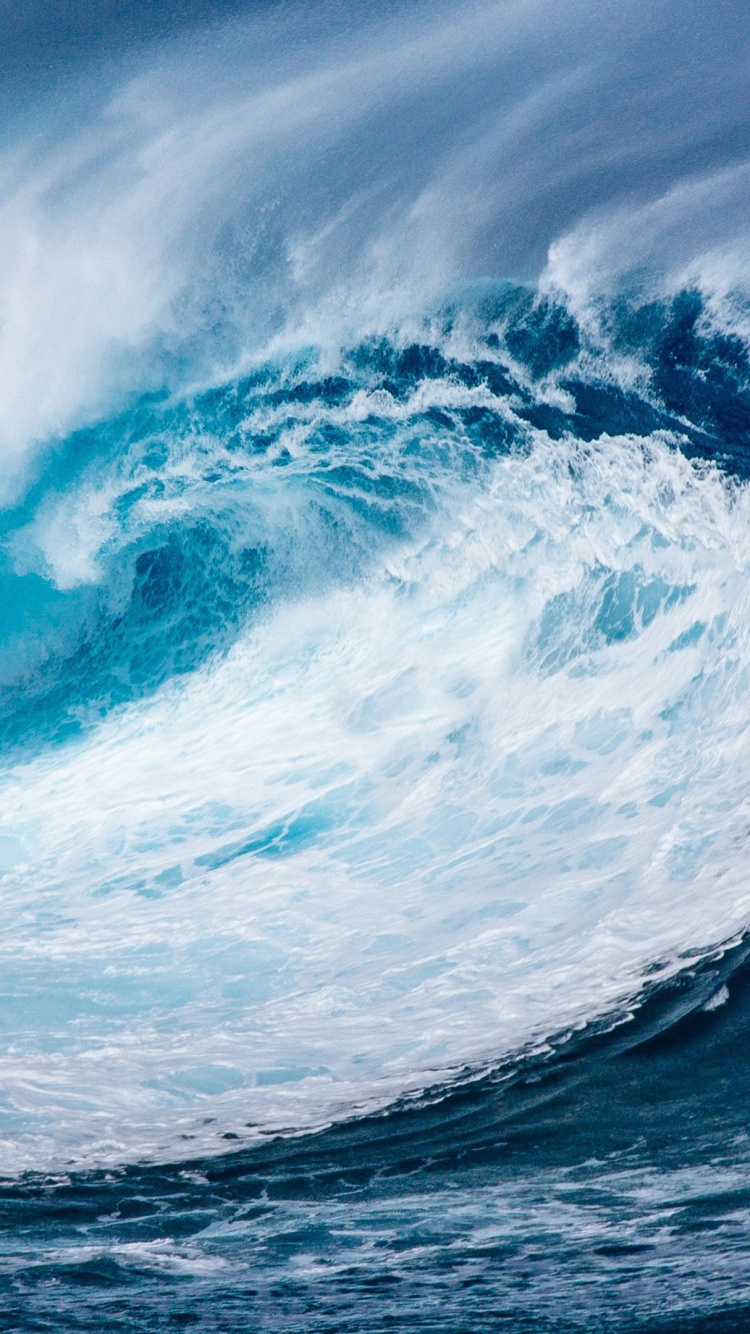 Обои океан, ветровая волна, Тихий океан, земля, волна в разрешении 750x1334