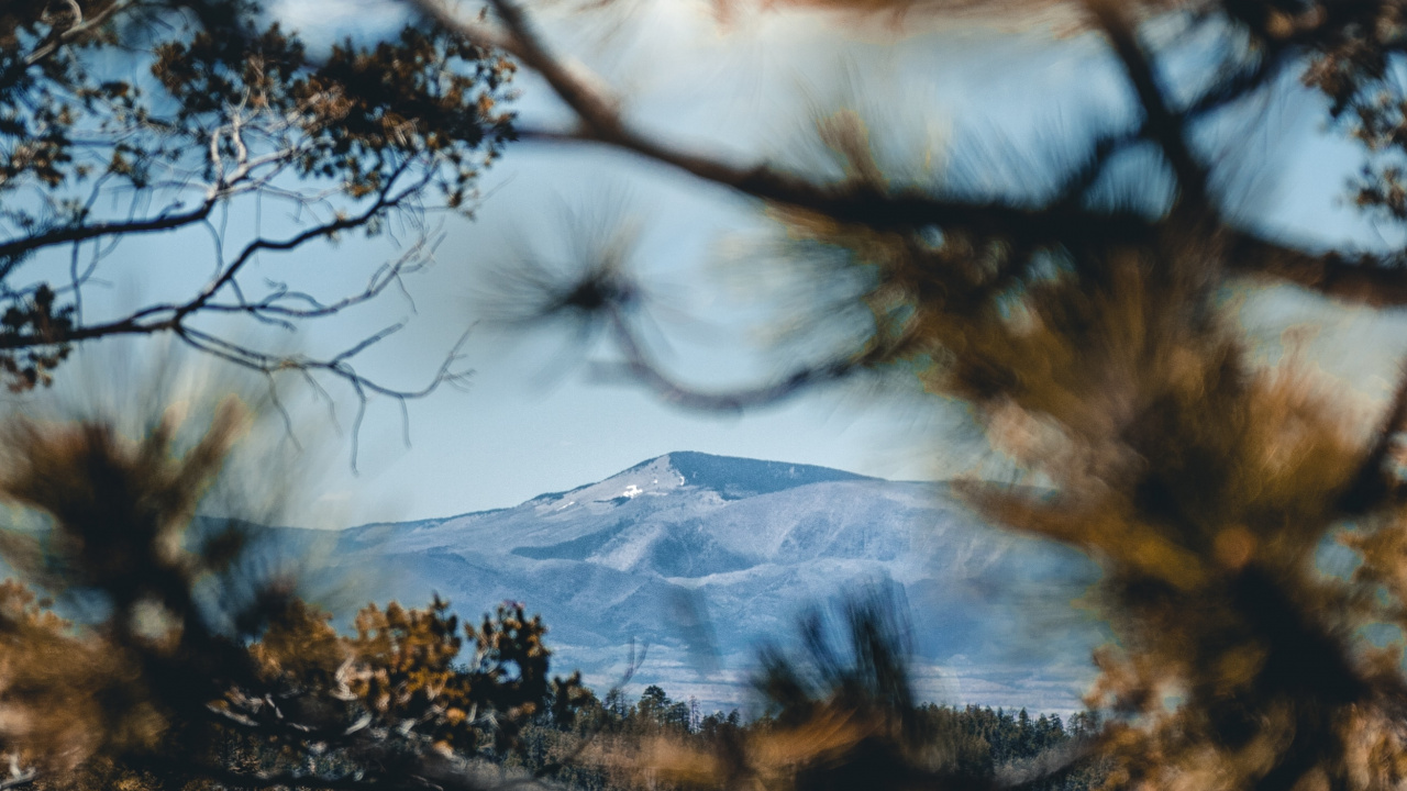Обои отражение, дикая местность, природный ландшафт, природа, древесные растения в разрешении 1280x720