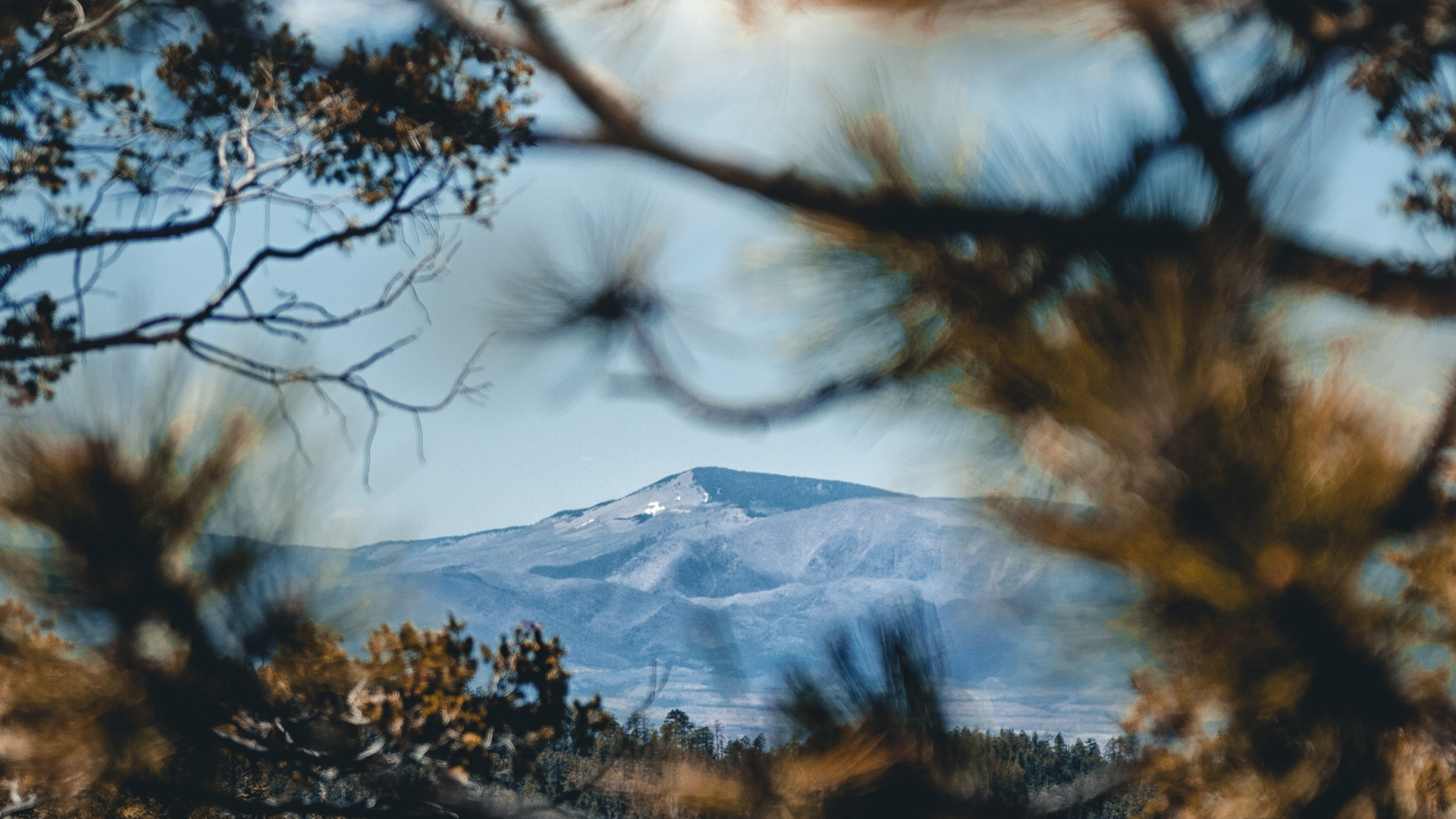 Обои отражение, дикая местность, природный ландшафт, природа, древесные растения в разрешении 1920x1080