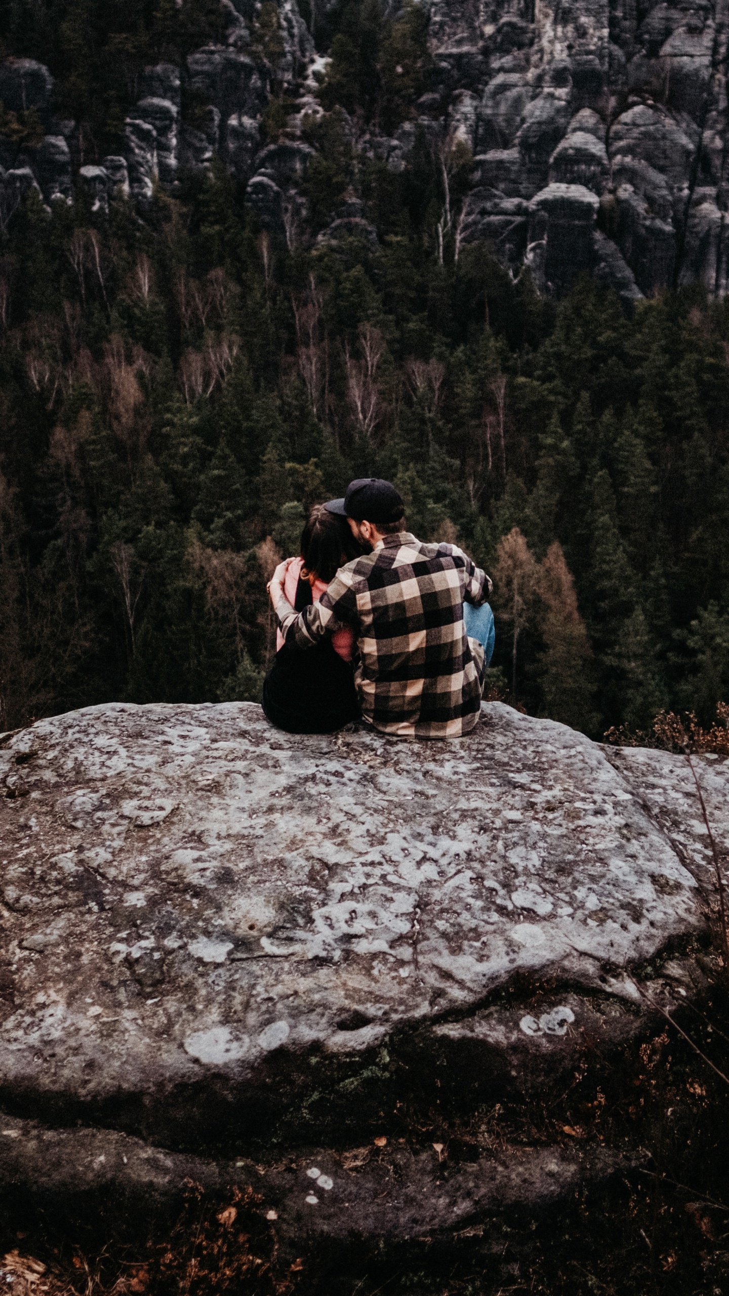 Обои саксонская Швейцария, дикая местность, рок, геология, валун в разрешении 1440x2560