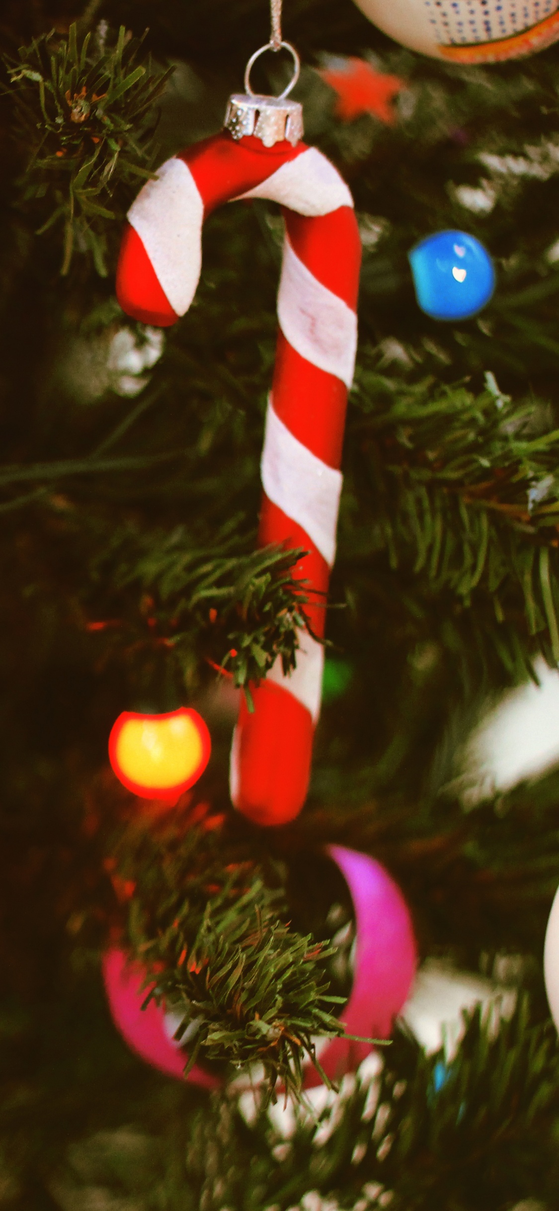 Обои елка, рождественский орнамент, Рождество, Рождественские украшения, дерево в разрешении 1125x2436