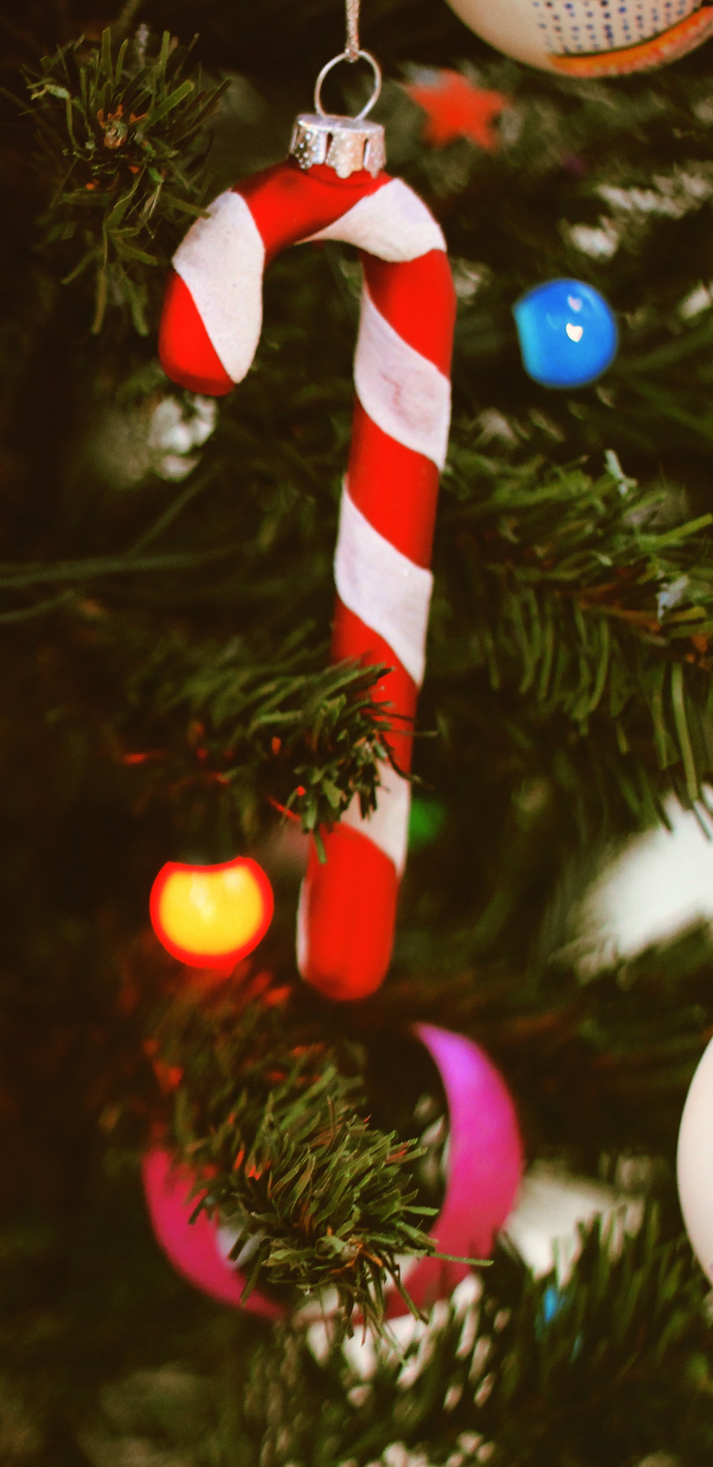 Обои елка, рождественский орнамент, Рождество, Рождественские украшения, дерево в разрешении 1440x2960