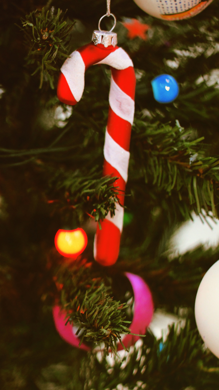 Обои елка, рождественский орнамент, Рождество, Рождественские украшения, дерево в разрешении 750x1334