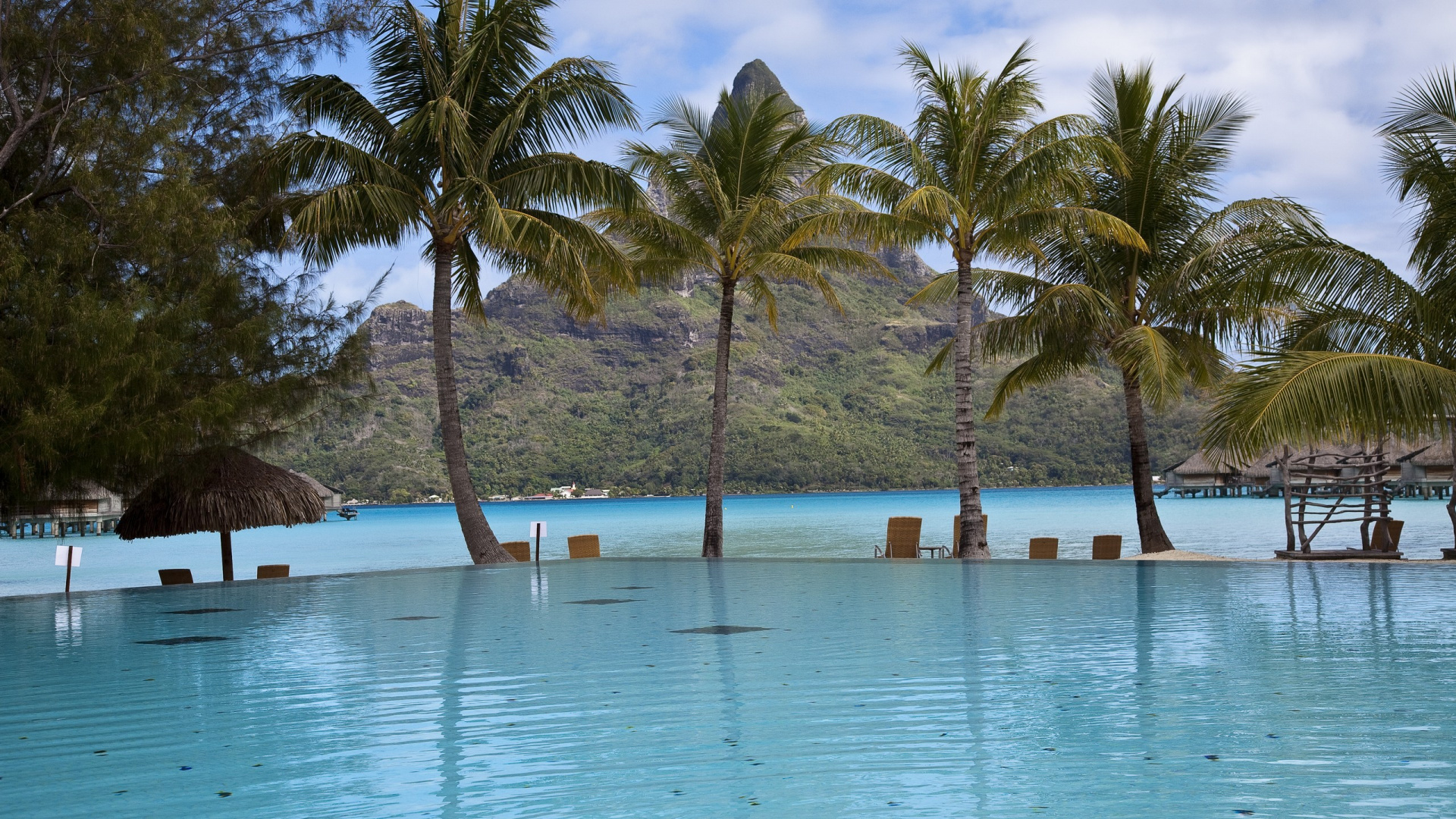 Обои плавательный бассейн, дерево, прибежище, Пальма, тропическая зона в разрешении 1920x1080