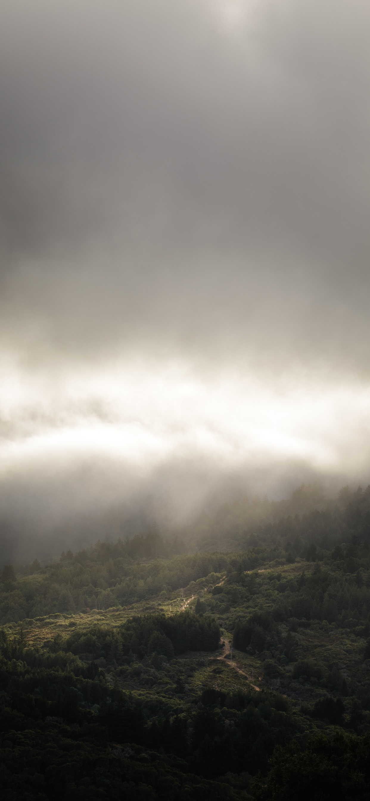 Обои облако, атмосфера, свет, солнечный свет, дневное время в разрешении 1242x2688