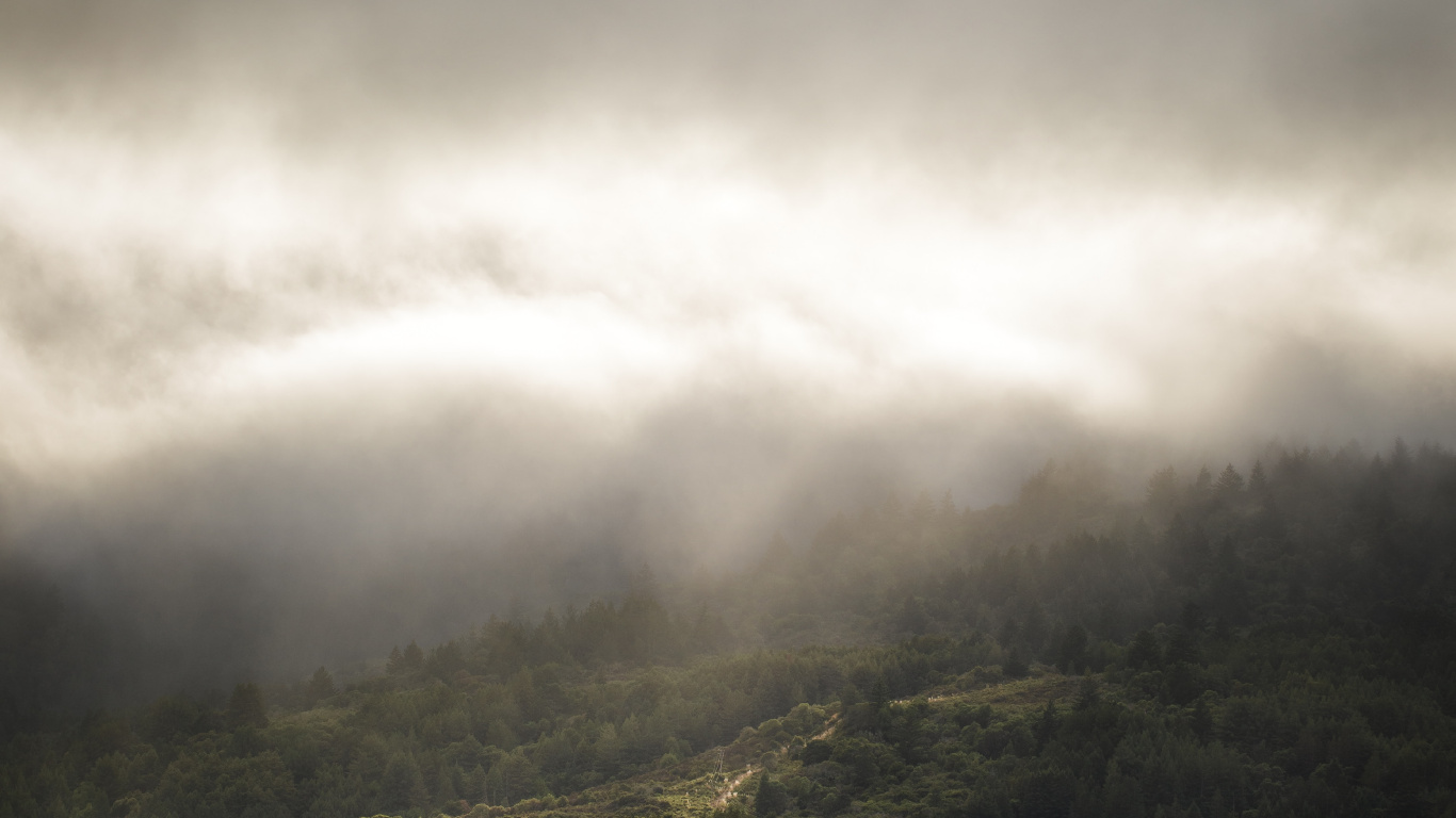 Обои облако, атмосфера, свет, солнечный свет, дневное время в разрешении 1366x768