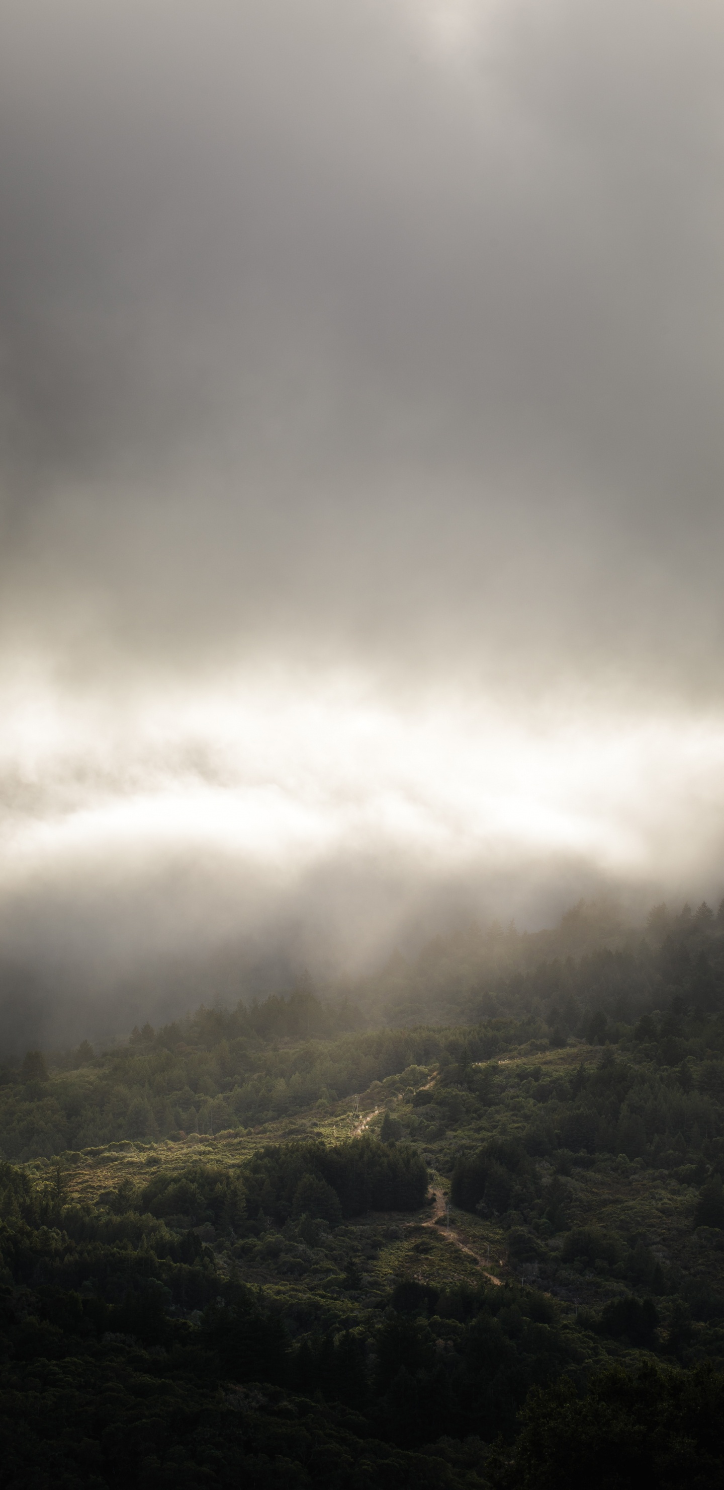 Обои облако, атмосфера, свет, солнечный свет, дневное время в разрешении 1440x2960