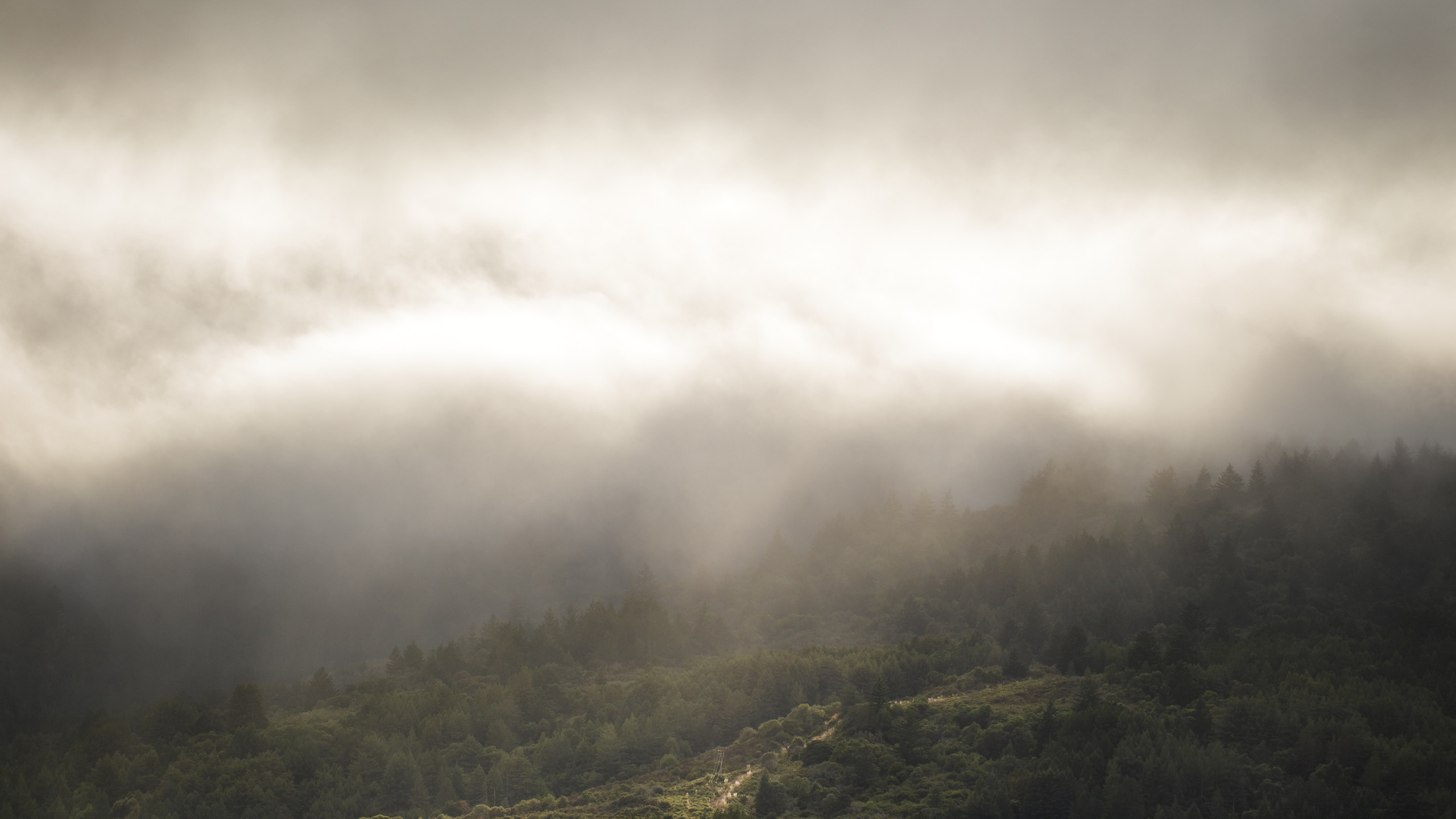 Обои облако, атмосфера, свет, солнечный свет, дневное время в разрешении 2560x1440