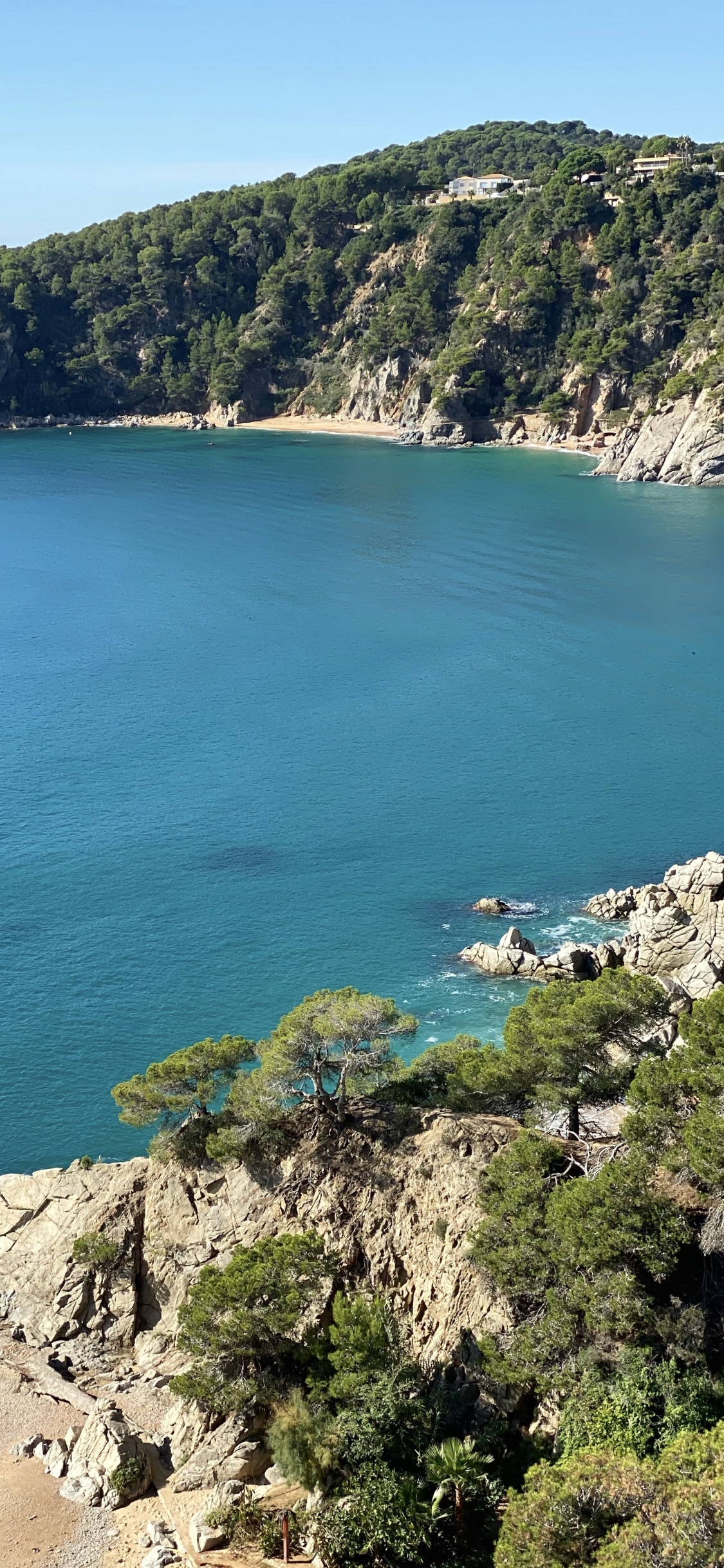 Обои море, водоем, природа, растительность, побережье в разрешении 1125x2436