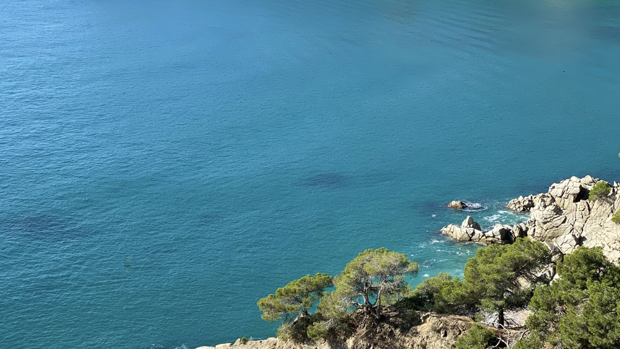 Обои море, водоем, природа, растительность, побережье в разрешении 1280x720