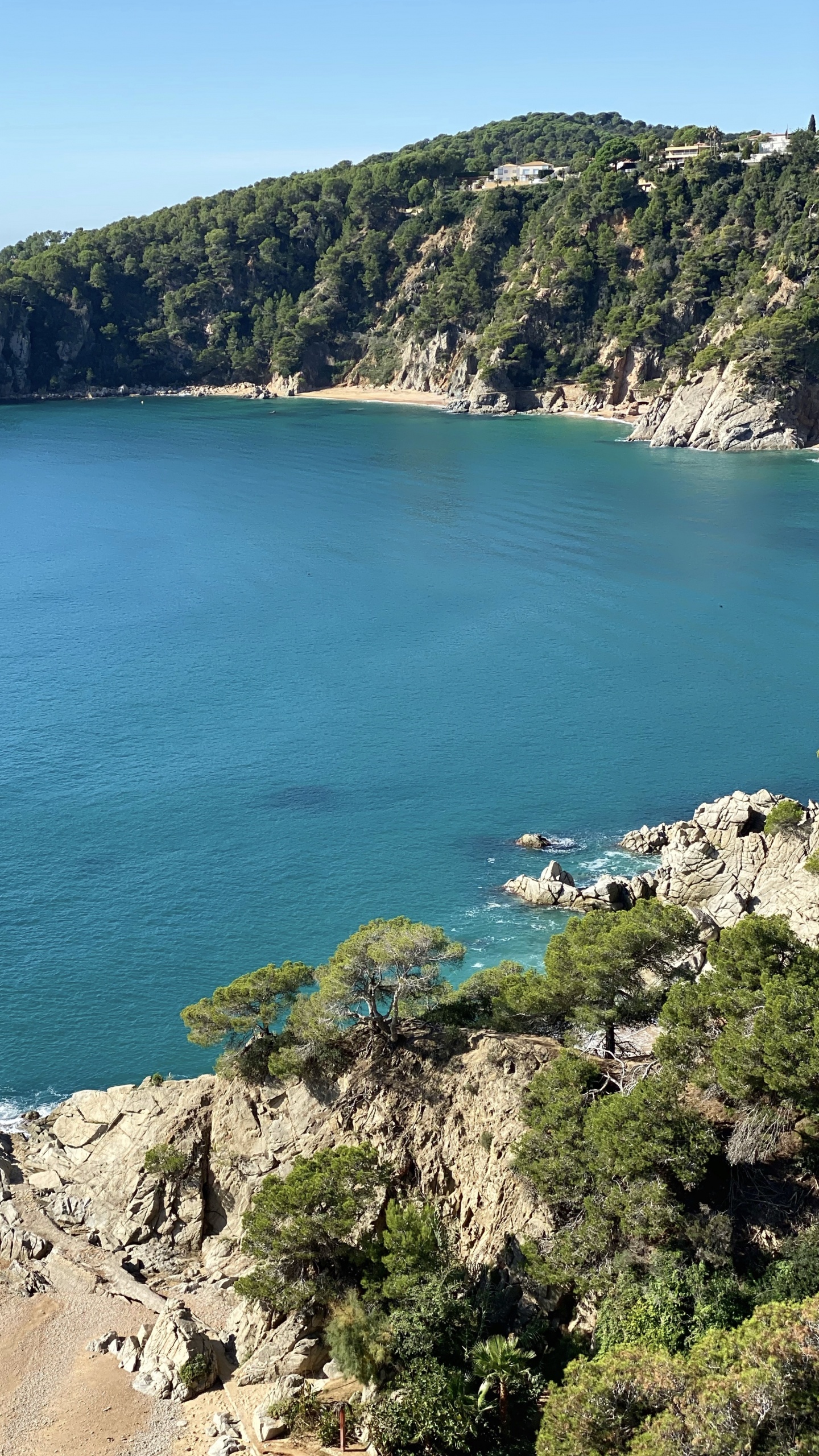 Обои море, водоем, природа, растительность, побережье в разрешении 1440x2560