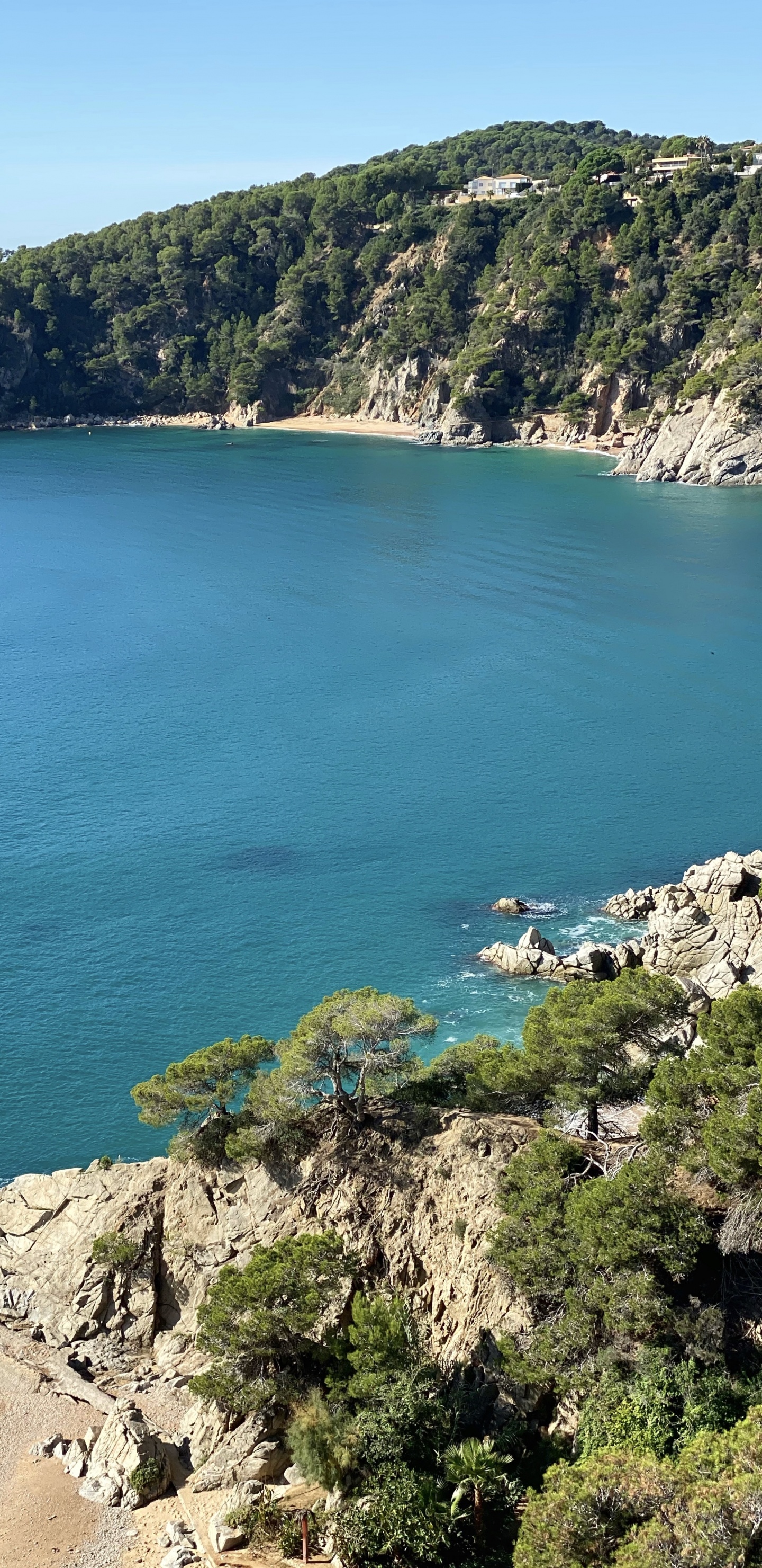 Обои море, водоем, природа, растительность, побережье в разрешении 1440x2960