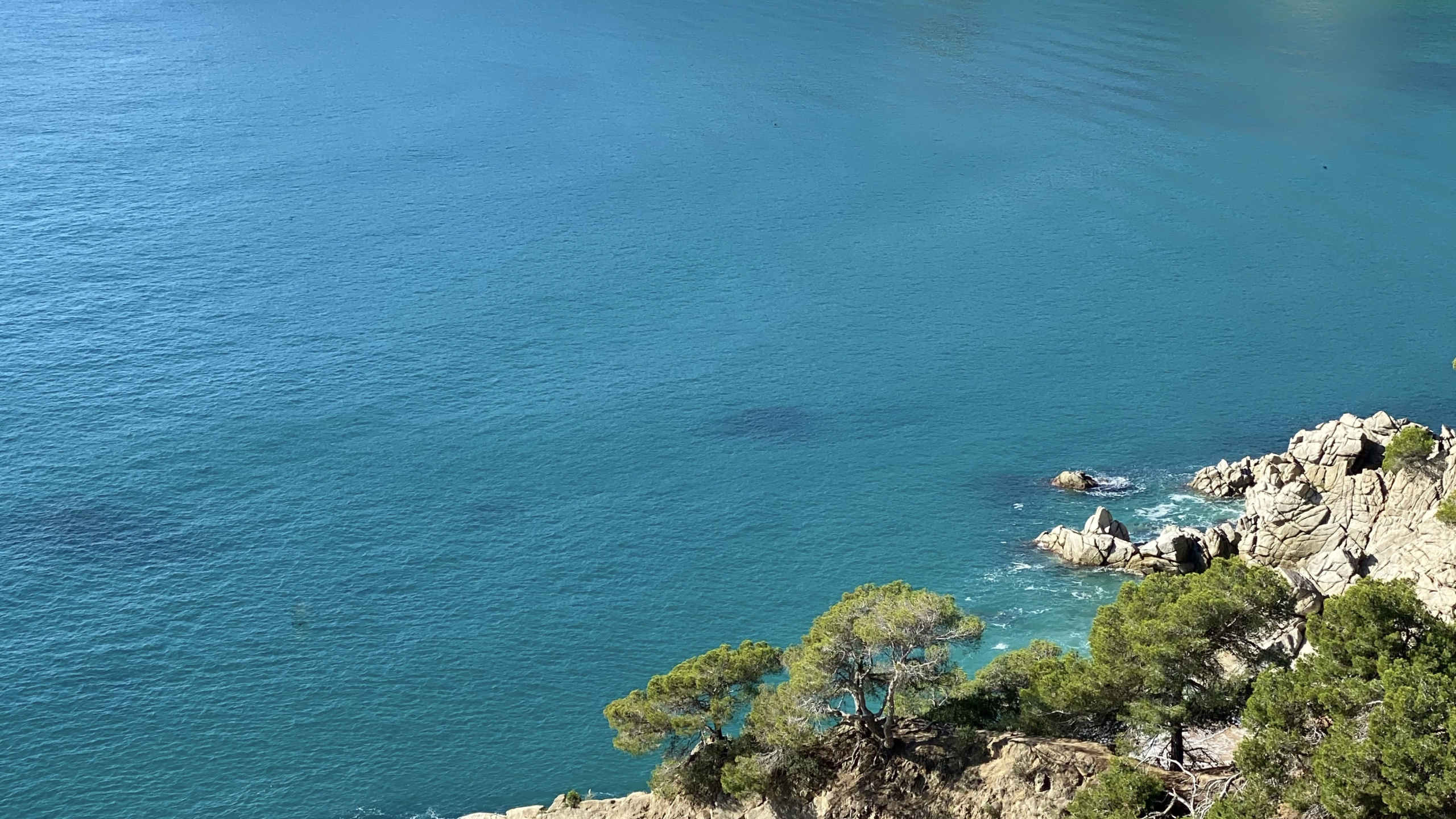 Обои море, водоем, природа, растительность, побережье в разрешении 2560x1440