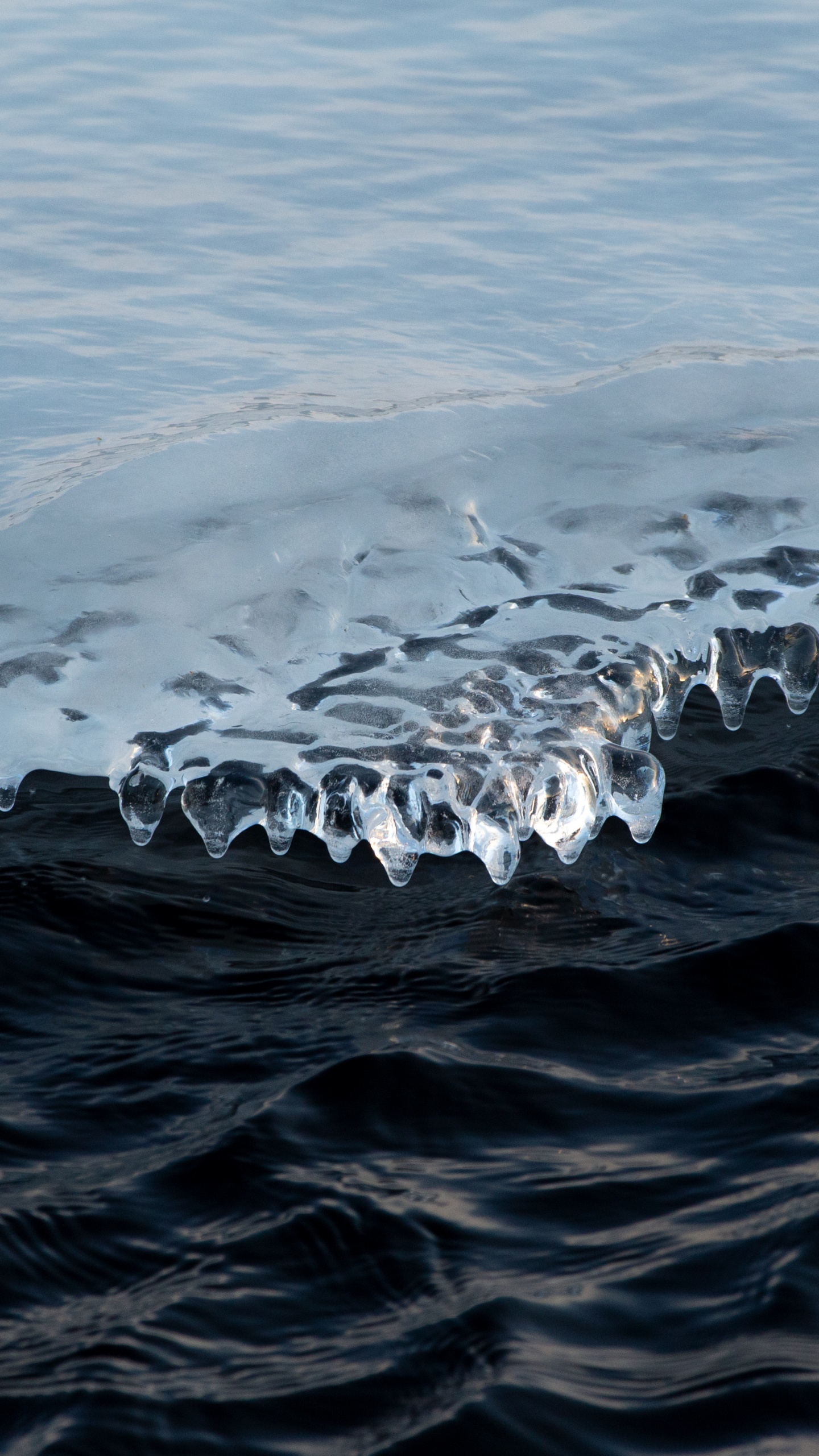 Обои небо, ветровая волна, вода, зима, лед в разрешении 1440x2560