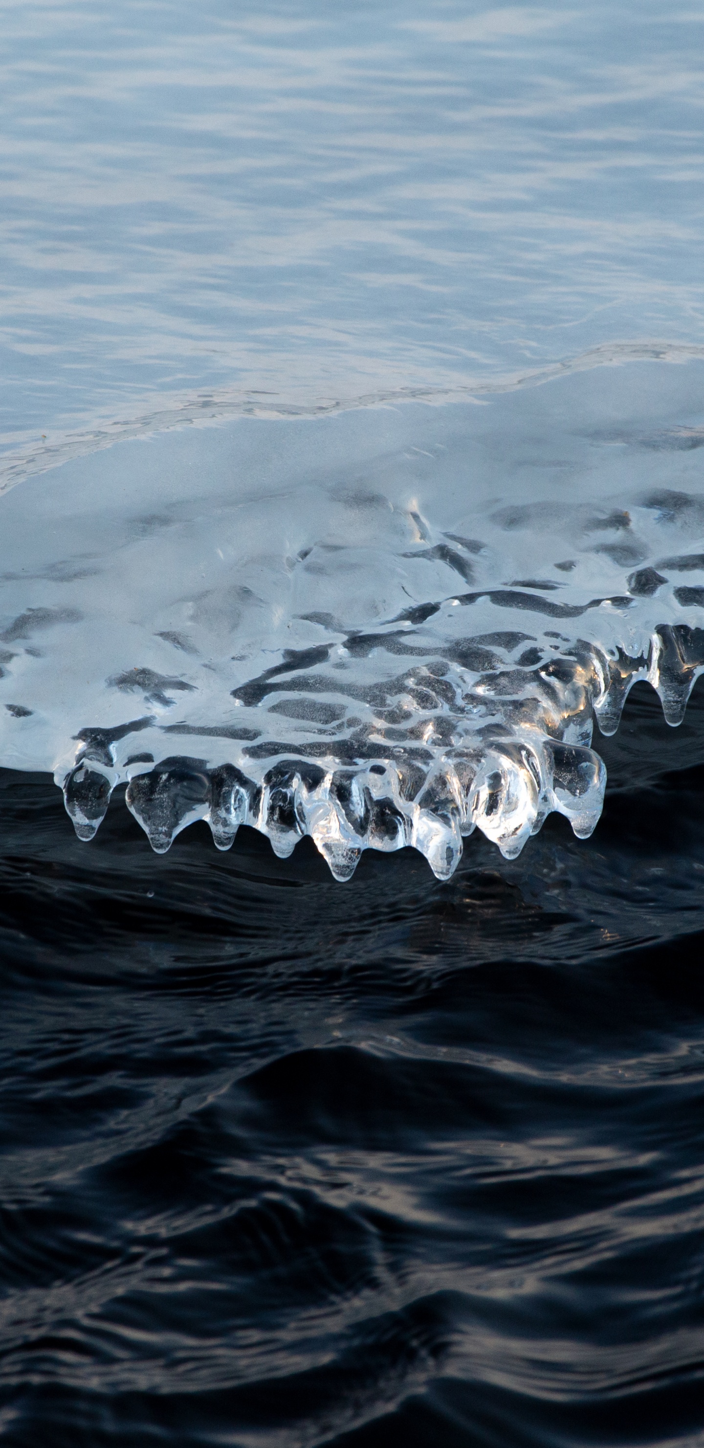 Обои небо, ветровая волна, вода, зима, лед в разрешении 1440x2960