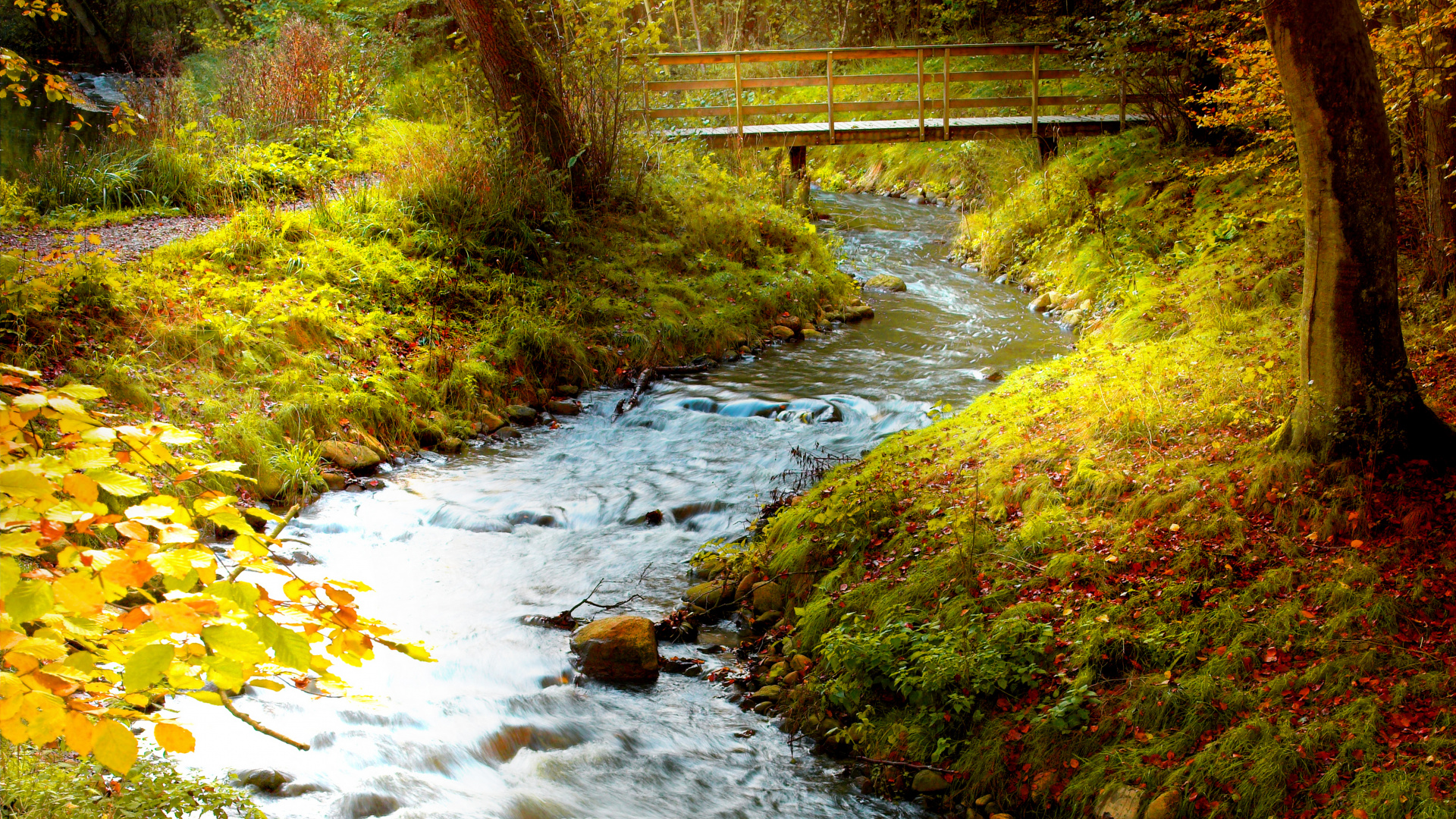 Обои поток, природа, водоем, вода, водоток в разрешении 1920x1080