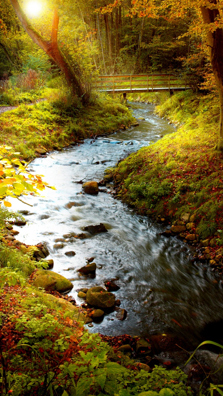 Обои поток, природа, водоем, вода, водоток в разрешении 720x1280