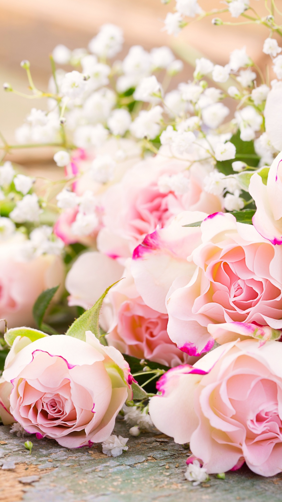 Обои цветок, Роза, цветочный букет, сад роз, розовый в разрешении 1080x1920