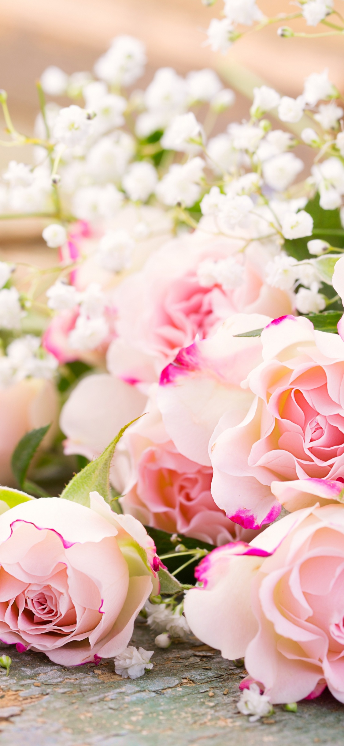 Обои цветок, Роза, цветочный букет, сад роз, розовый в разрешении 1125x2436