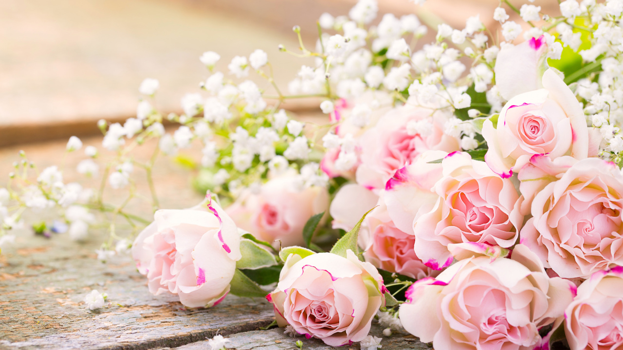 Обои цветок, Роза, цветочный букет, сад роз, розовый в разрешении 1280x720