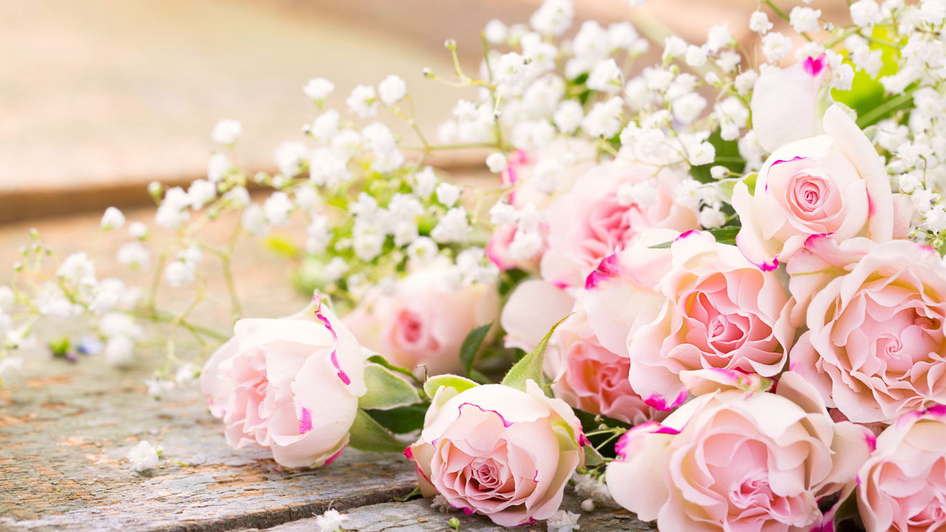 Обои цветок, Роза, цветочный букет, сад роз, розовый в разрешении 1366x768