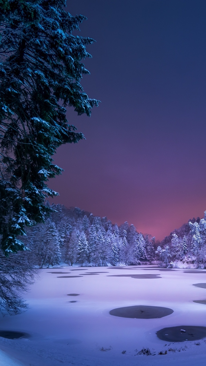 Обои снег, ночь, зима, природа, дерево в разрешении 720x1280