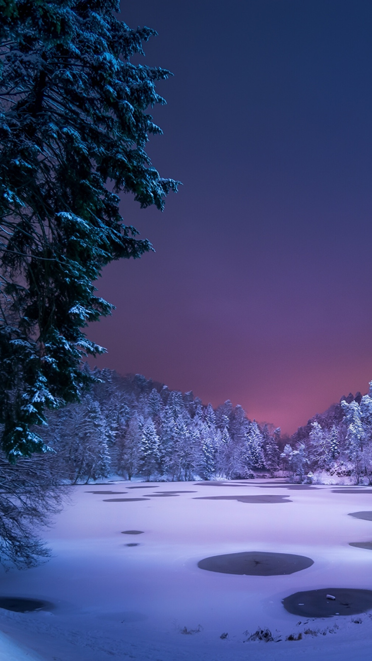 Обои снег, ночь, зима, природа, дерево в разрешении 750x1334