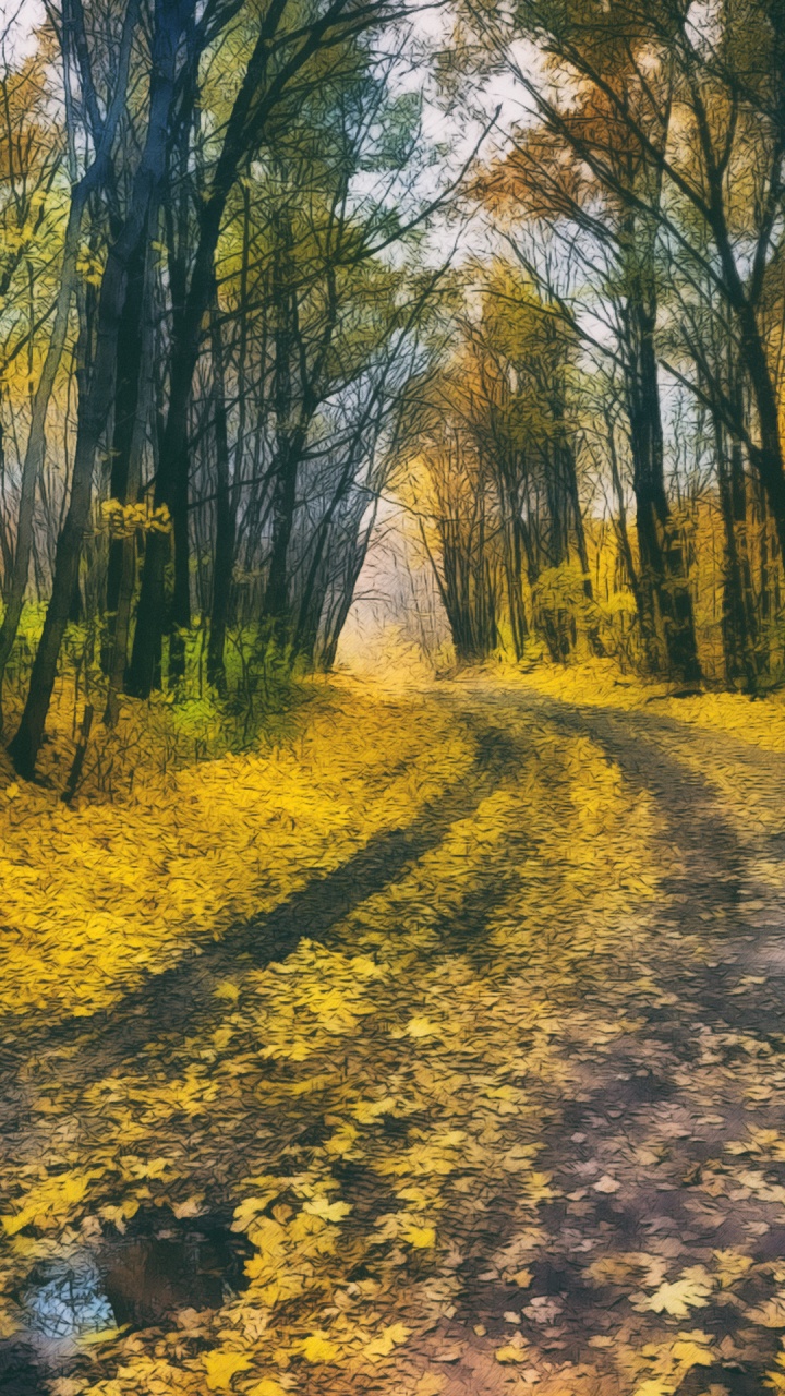 Обои природа, растение, Люди в природе, дерево, древесина в разрешении 720x1280