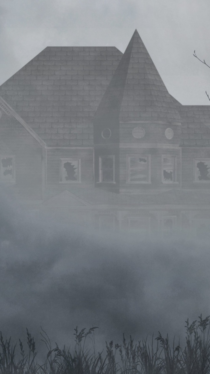 Обои туманный дом, фэнтези, Хаус, дымка, здание в разрешении 720x1280