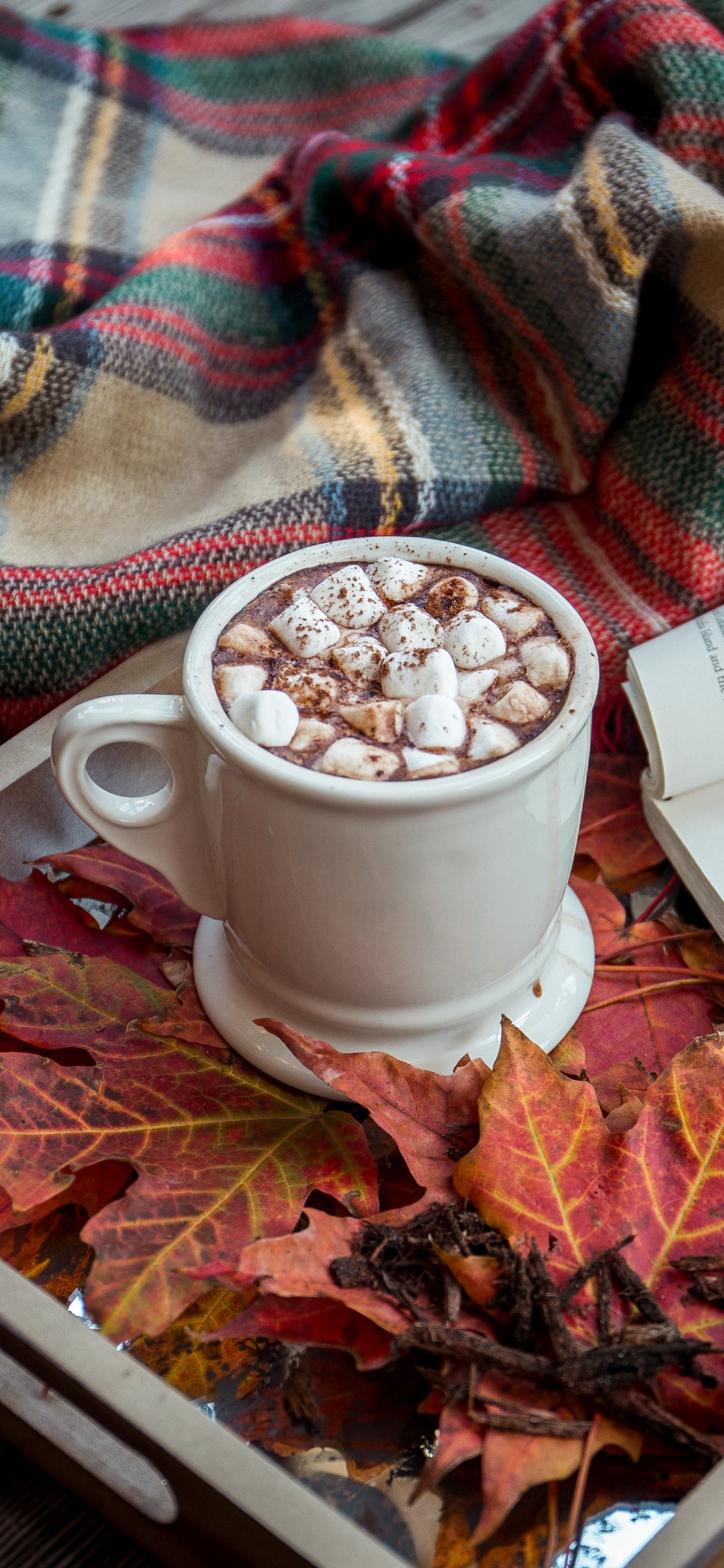 Обои книга, осень, пища, ткань, ароматическая смесь в разрешении 1242x2688