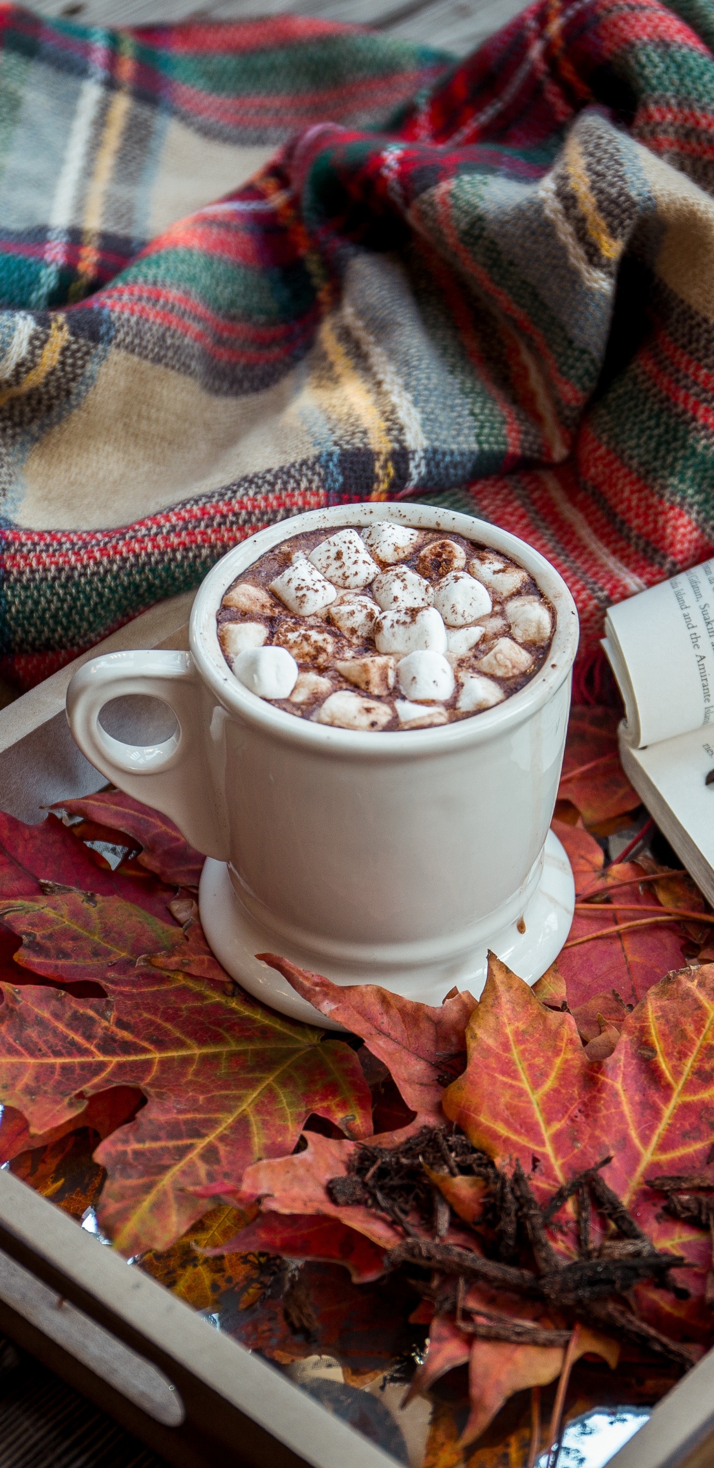 Обои книга, осень, пища, ткань, ароматическая смесь в разрешении 1440x2960